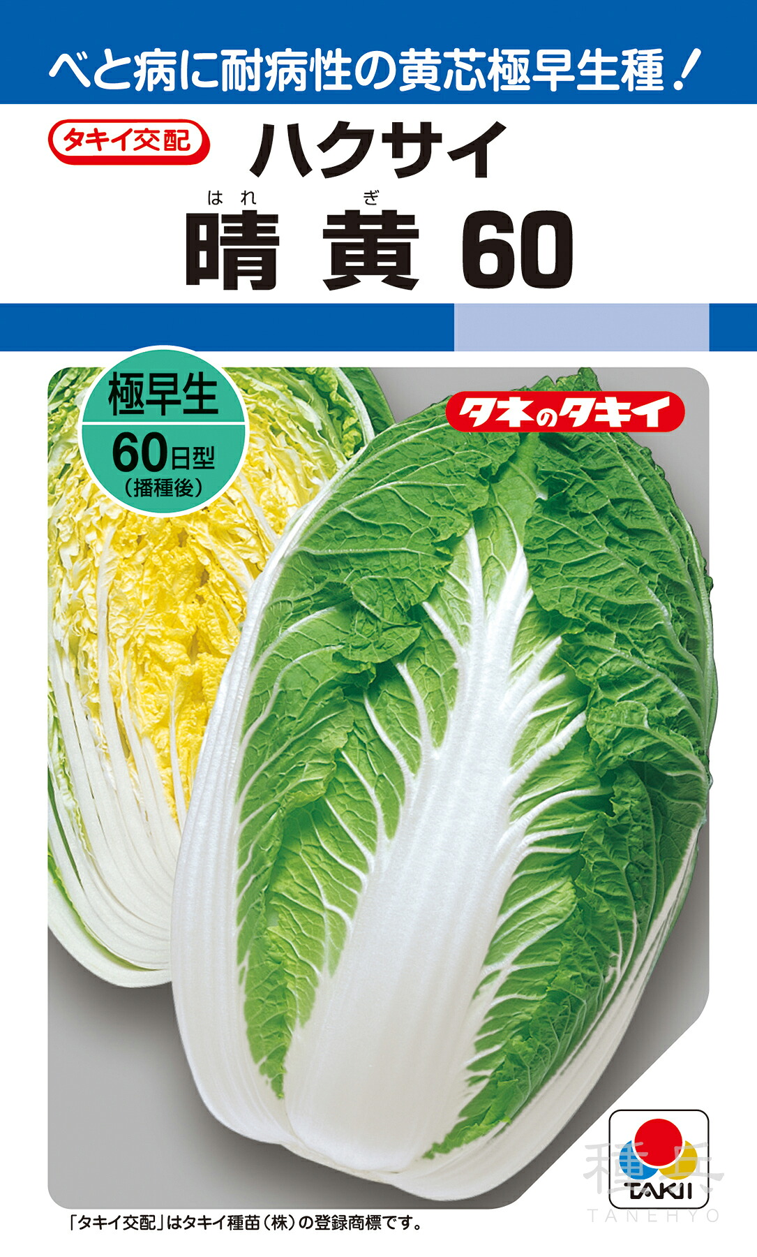 黄芯秋どりハクサイ 種 『晴黄60』 AHA00E タキイ種苗