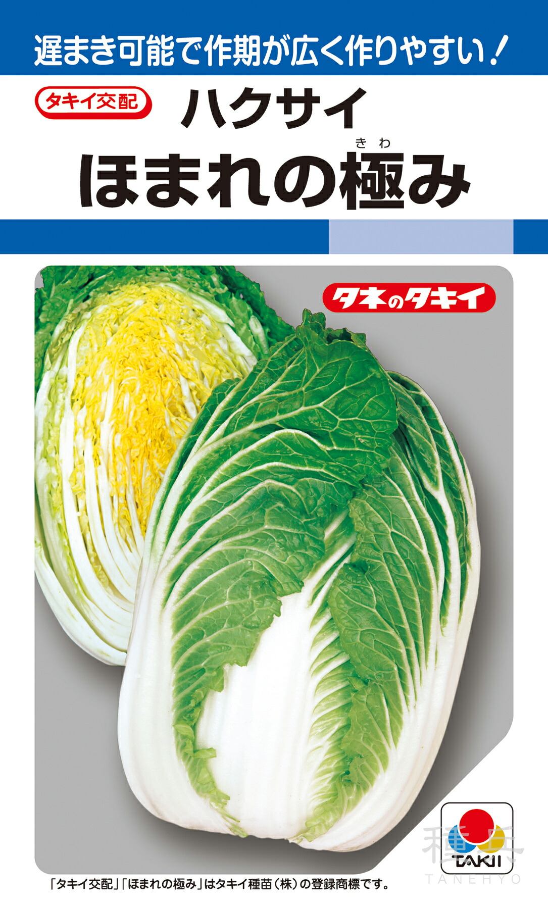 黄芯冬～初春どりハクサイ 種 『ほ滅多にないの極み』 AHA01A タキイ種苗