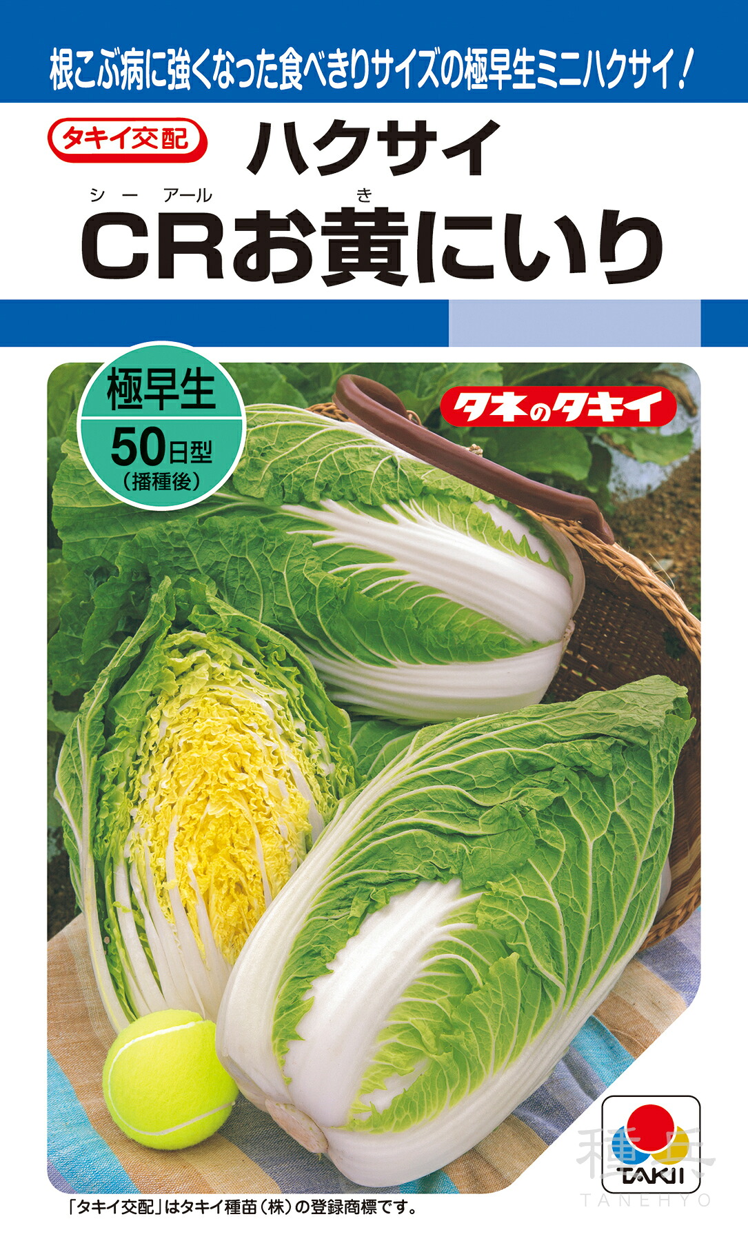 ミニハクサイ 種 『CRお黄にいり』 AHA05N タキイ種苗