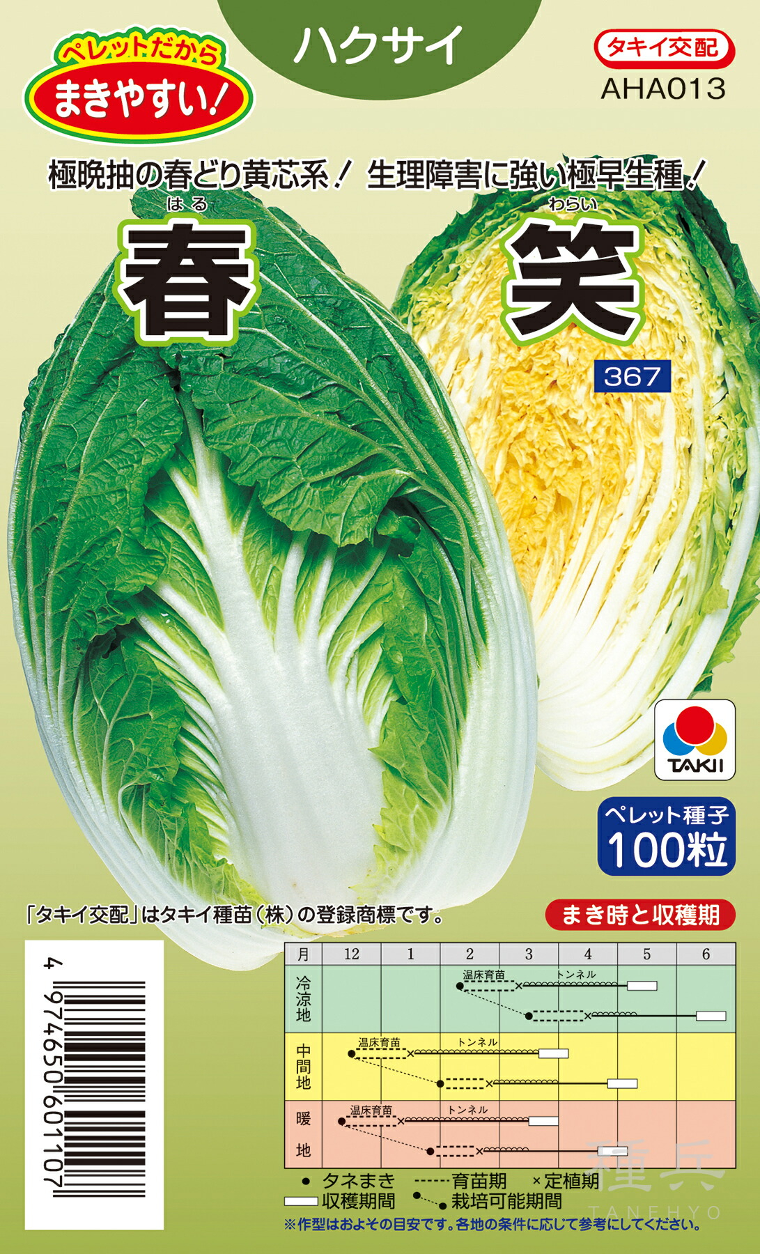 黄芯春～初夏どりハクサイ 種 『春笑』 AHA013 タキイ種苗