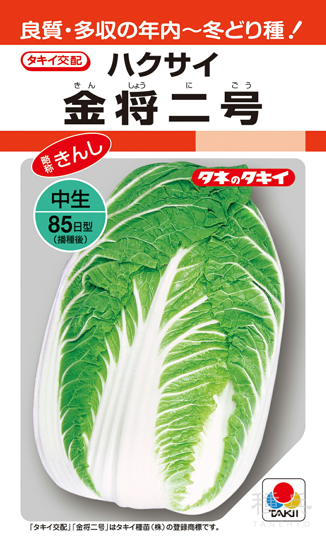 年内～冬どりハクサイ 種 『金将二号』 AHA076 タキイ種苗
