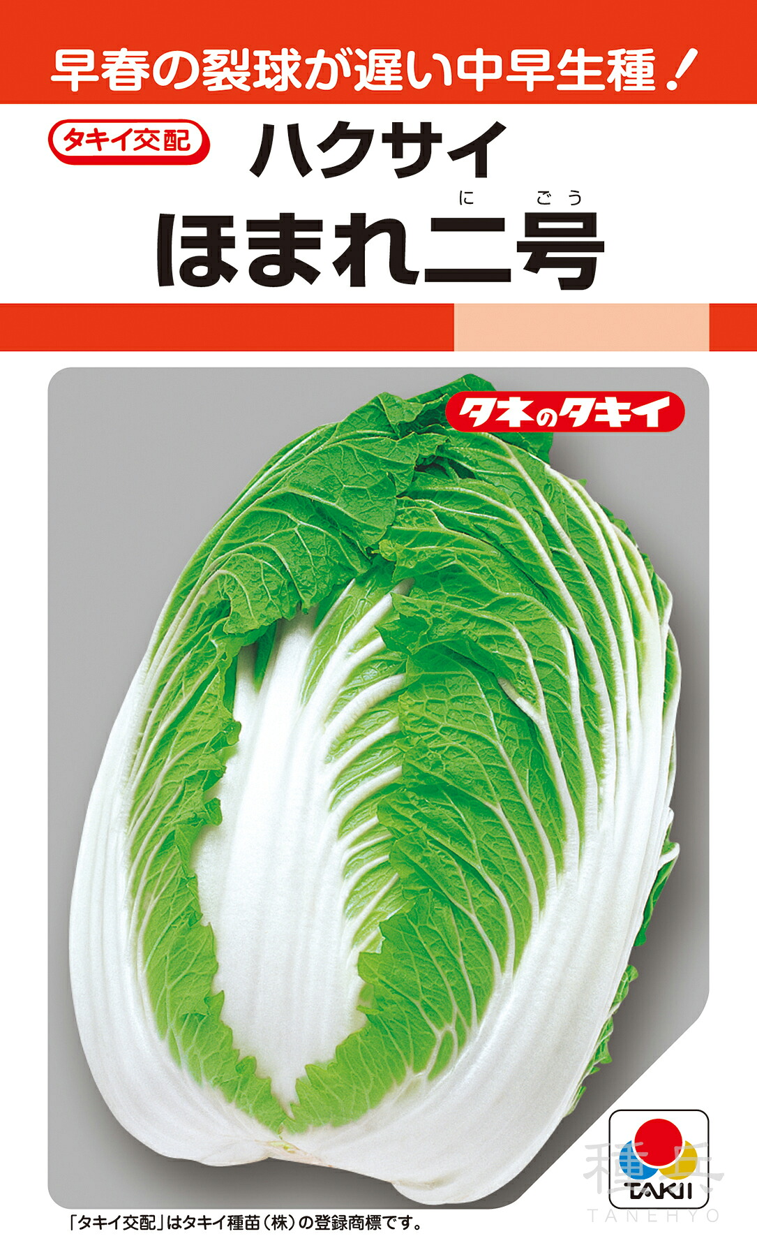 冬～早春どりハクサイ 種 『ほまれ二号』 AHA085 タキイ種苗
