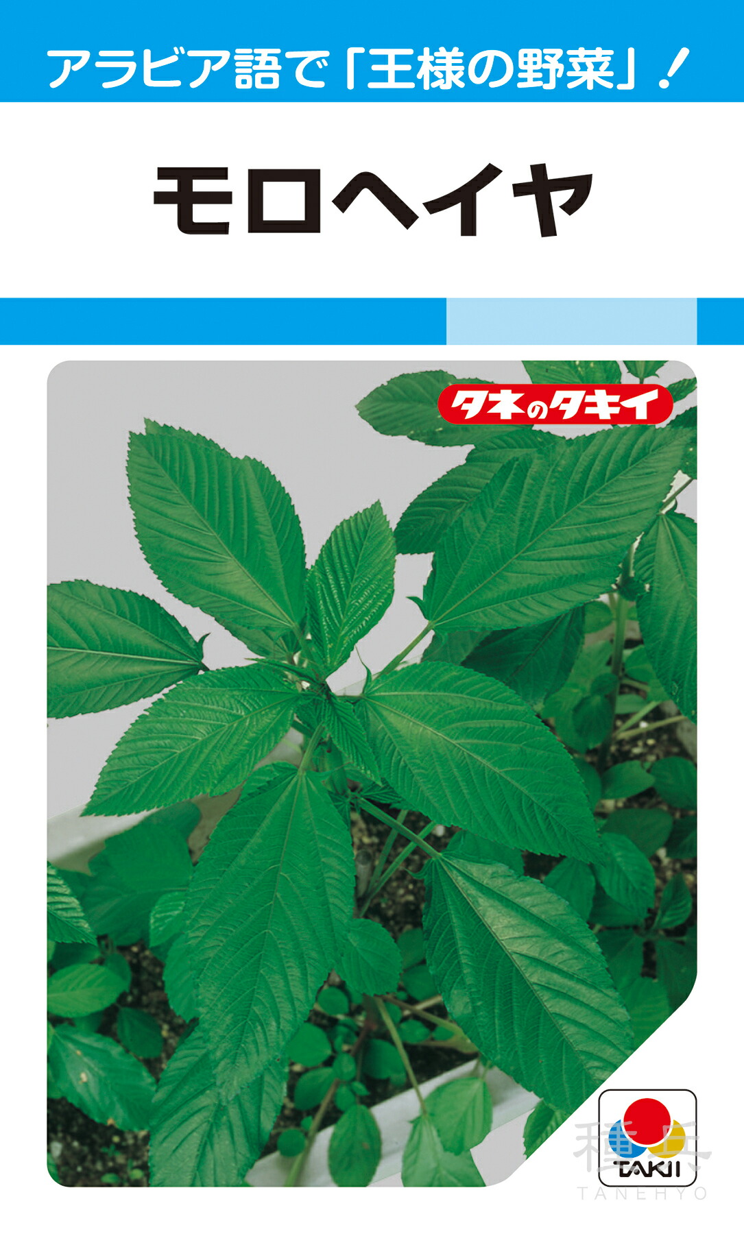 思わしい蔬菜 種 『モロヘイヤ』 ATY710 タキイ種苗