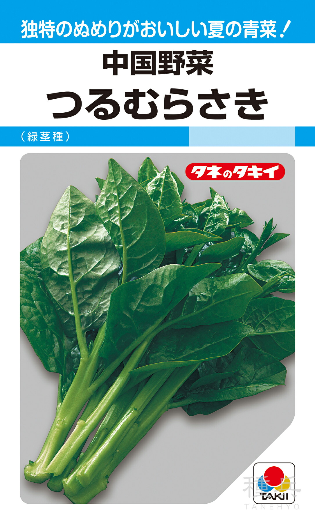 中国野菜 種 『つるむらさき（緑茎種）』 ATY582 タキイ種苗