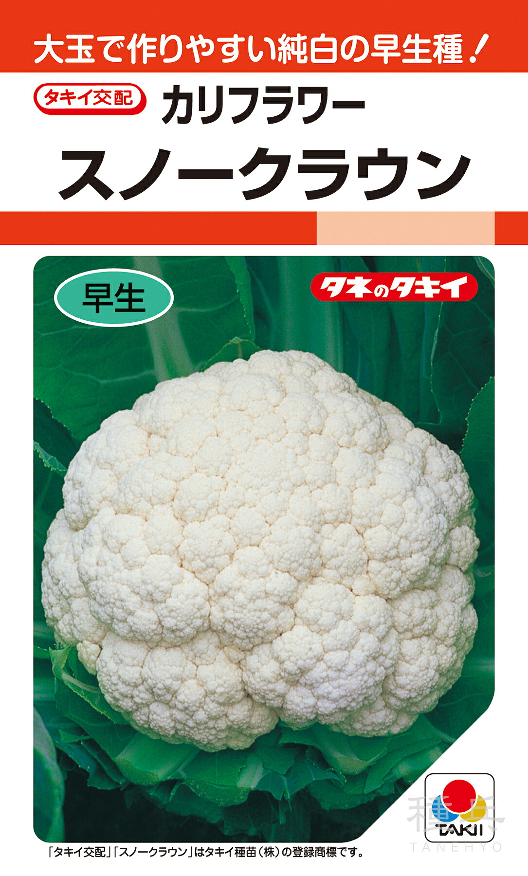 カリフラワー 種 『スノークラウン』 ASB003 タキイ種苗