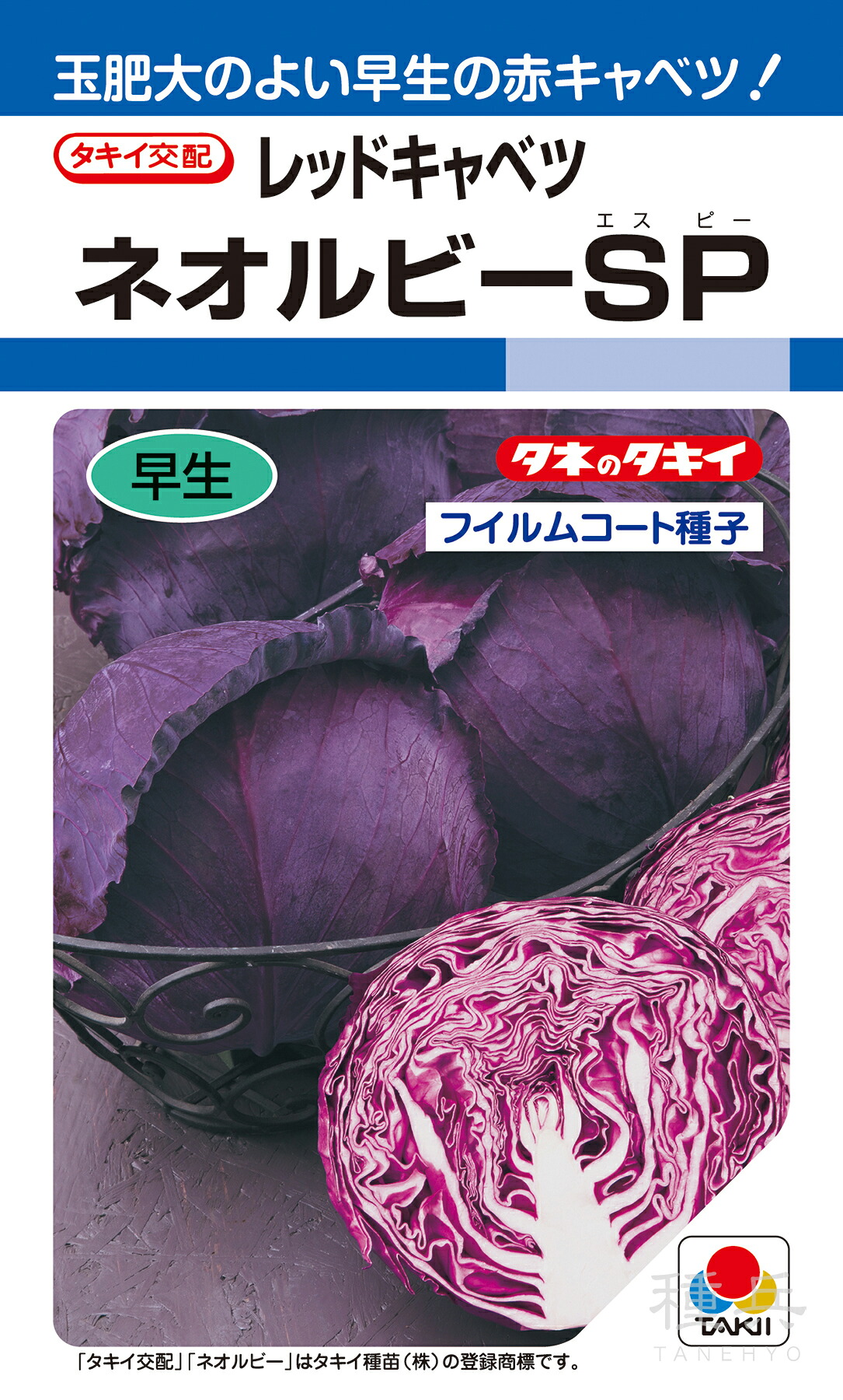 赤キャベツ 種 『ネオルビーSP』 ACA0H0 タキイ種苗