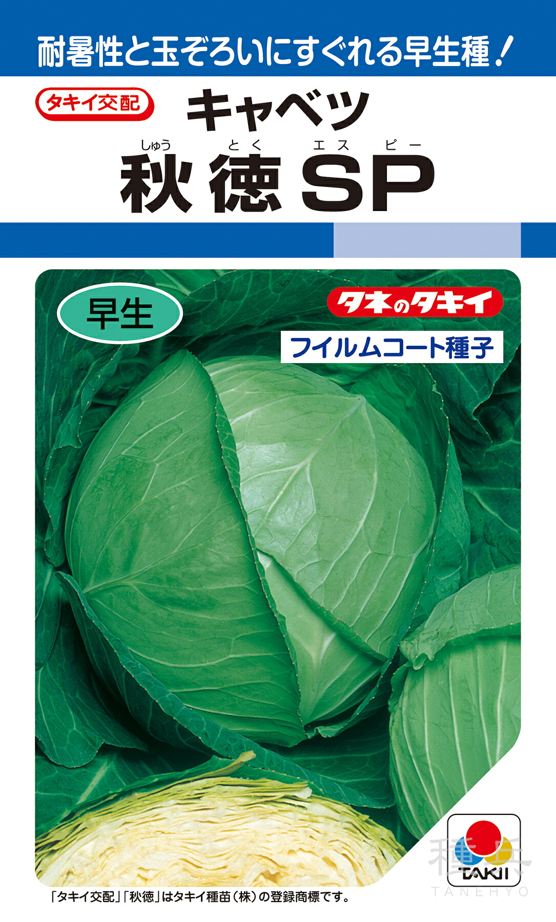 夏秋どりキャベツ 種 『秋徳SP』 ACA00X タキイ種苗