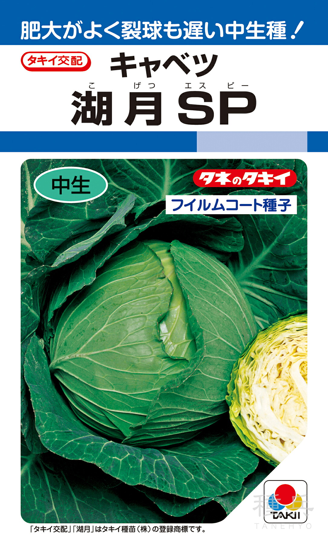 寒玉系年内どり玉菜 種 『湖月SP』 ACA00Y タキイ種苗