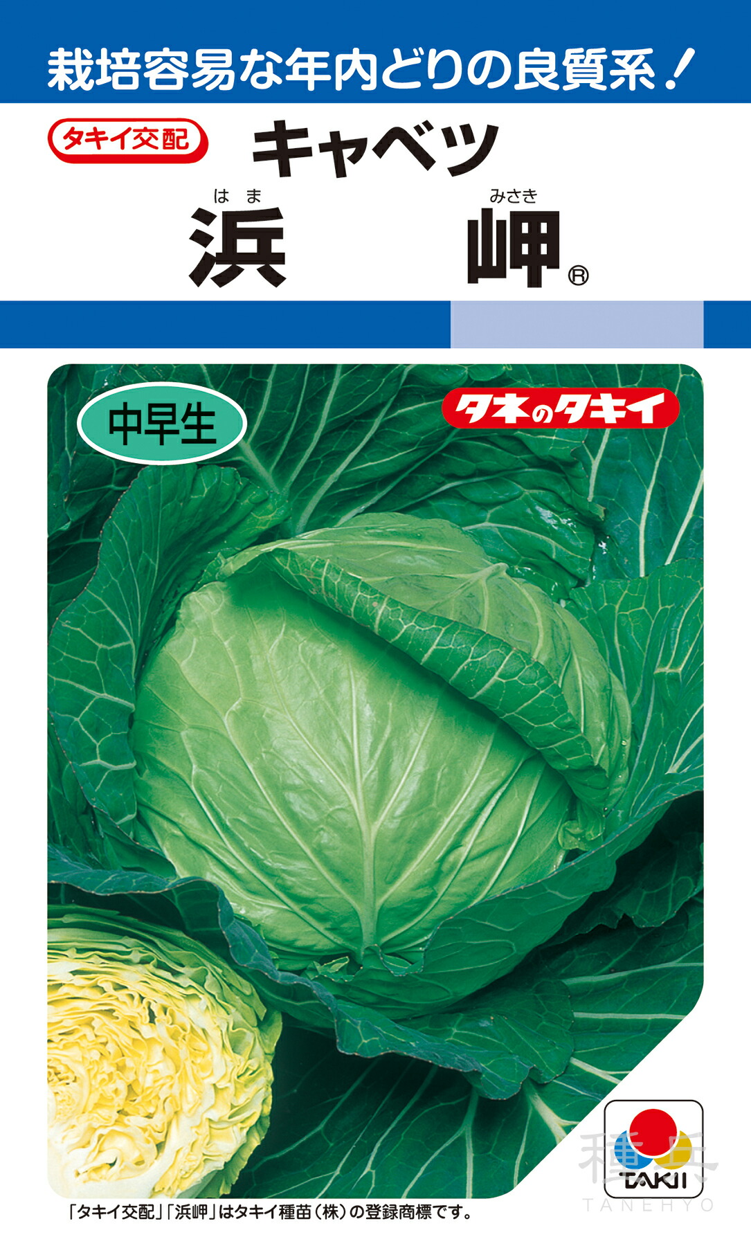 春系及び春キャベツ 種 『浜岬』 ACA03E タキイ種苗