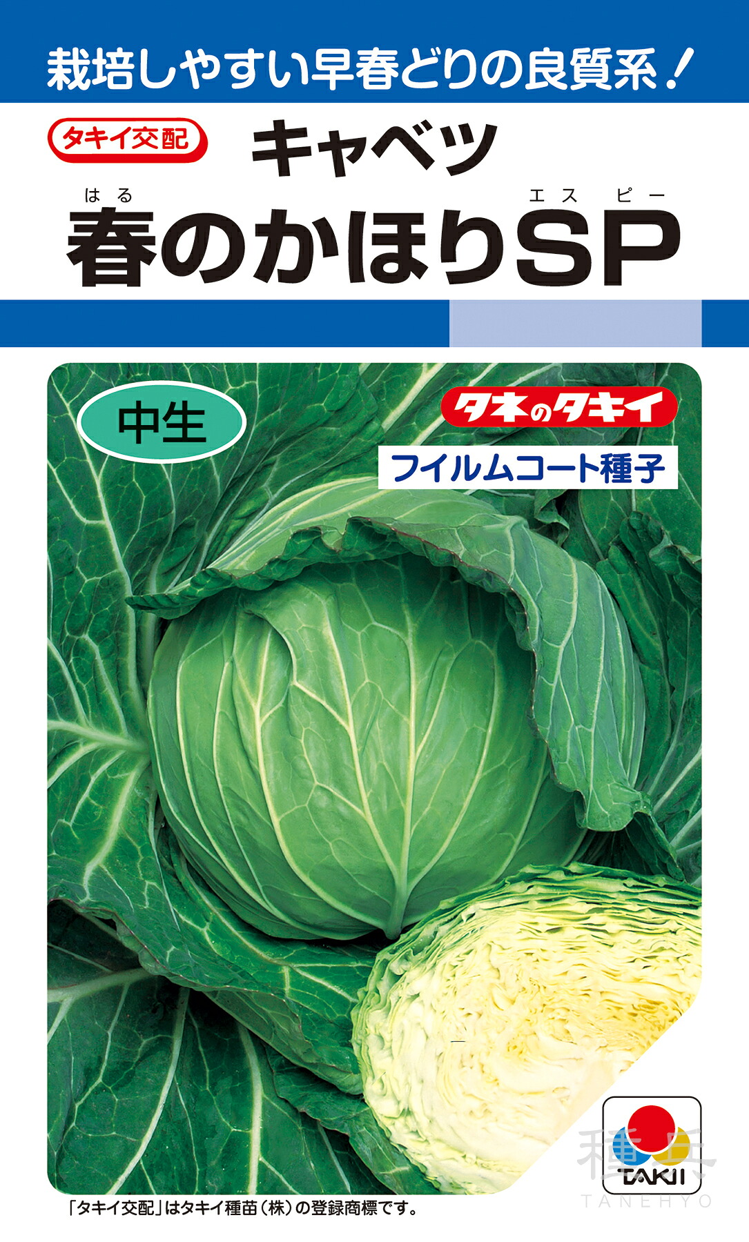 早春どりキャベツ 種 『春のかほりSP』 ACA0A9 タキイ種苗 13,490円