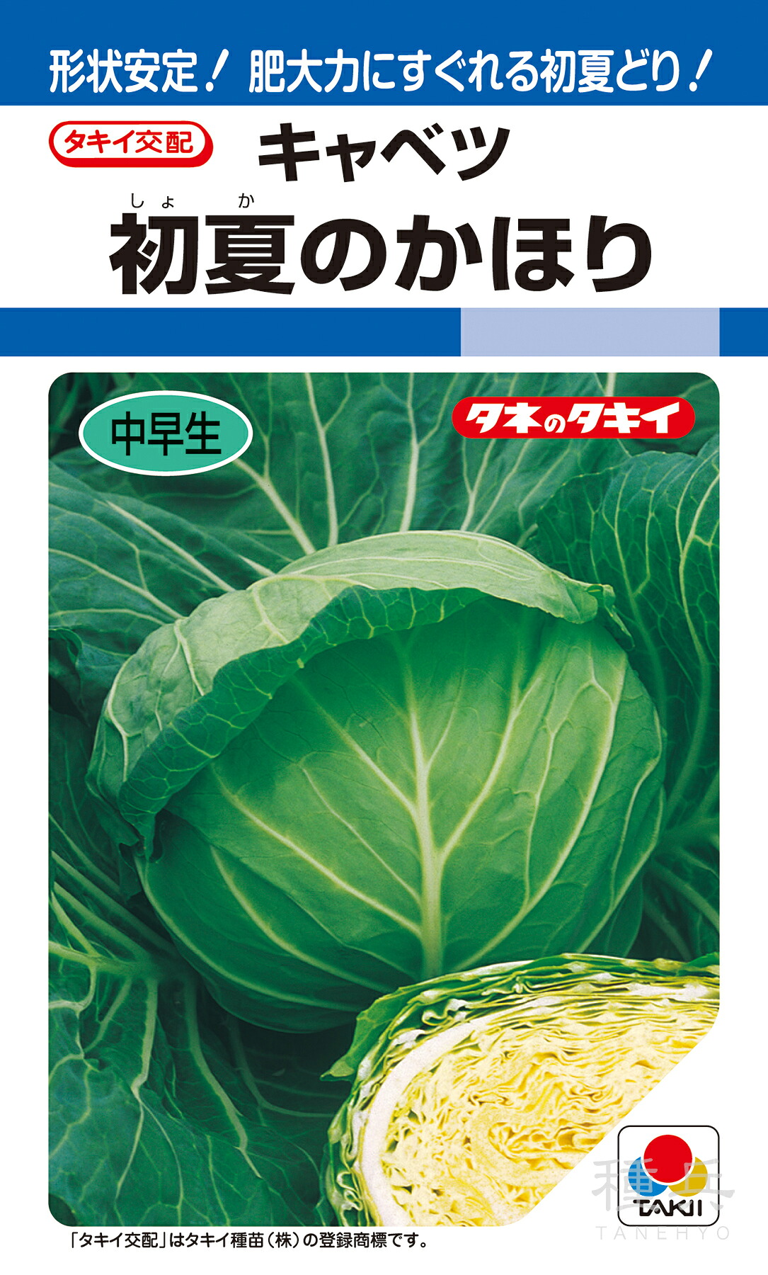 初夏どりキャベツ 種 『初夏のかほり』 ACA00K タキイ種苗