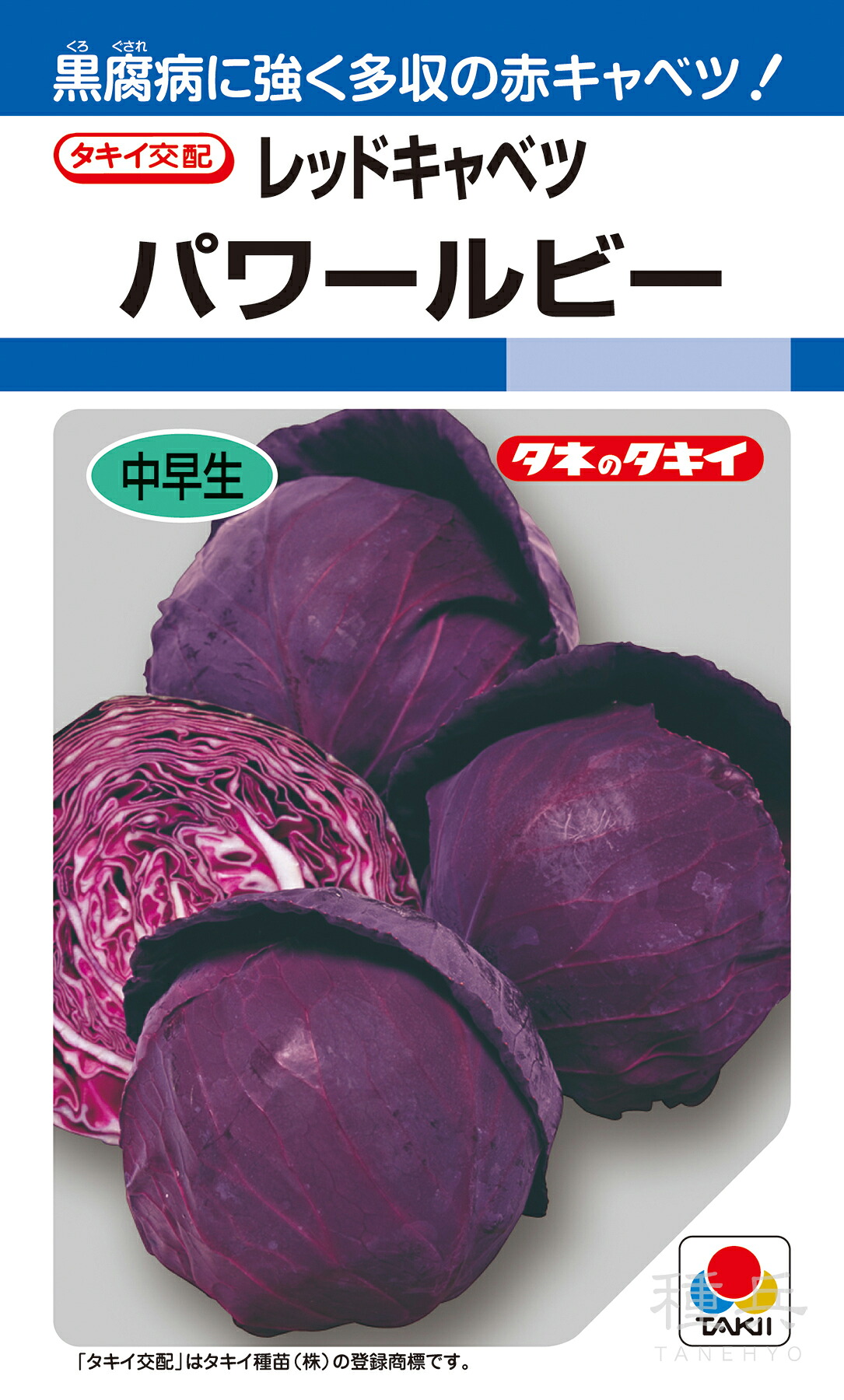 赤キャベツ 種 『パワールビー』 ACA01M タキイ種苗｜種兵ネットショッピング