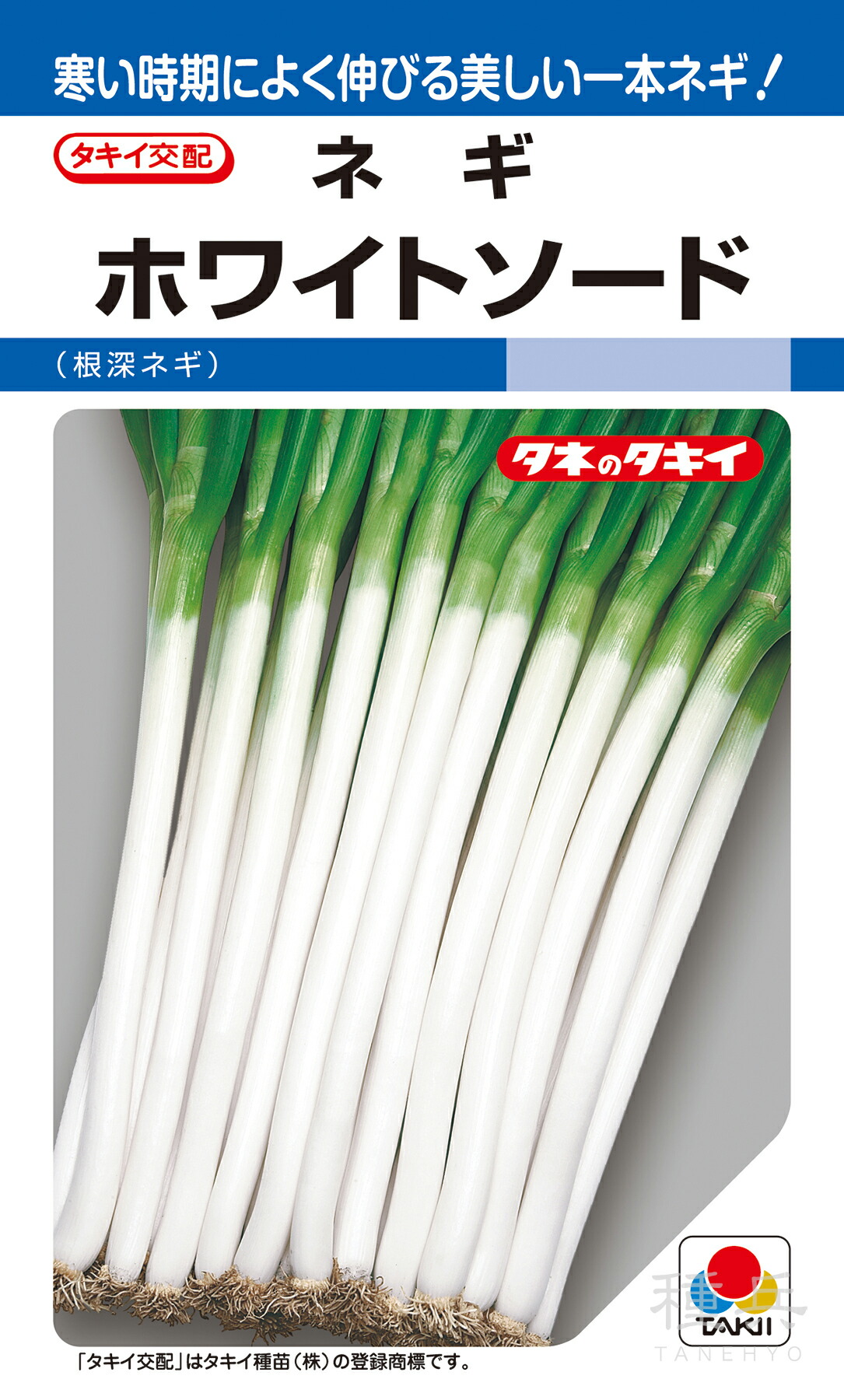 根深ネギ 種 『ホワイトソード』 ANE073 タキイ種苗