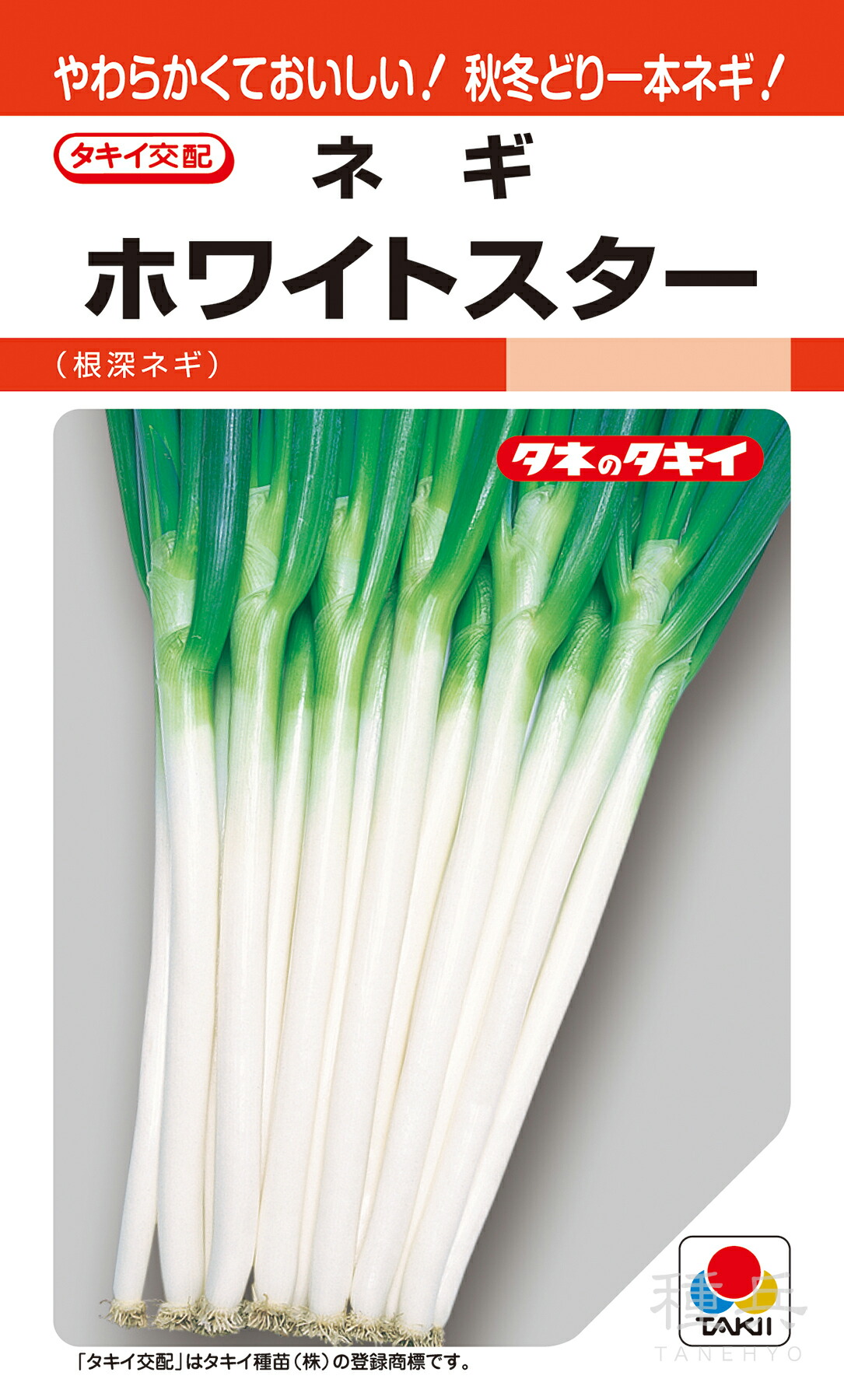 【ながねぎ】 根深ネギ・ホワイトツリー| 種・苗・ガーデニング用品の【タキイ