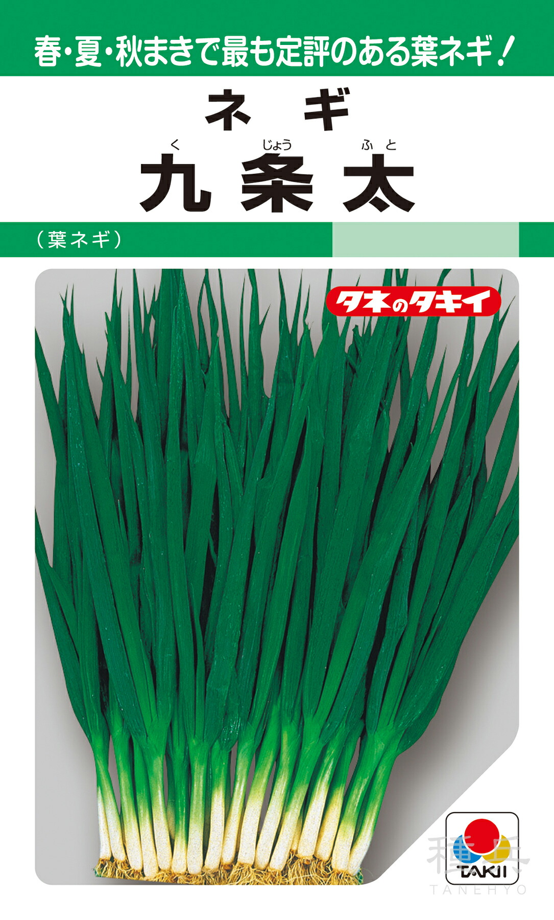 葉ネギ 種 『九条太葱』 ANE101 タキイ種苗