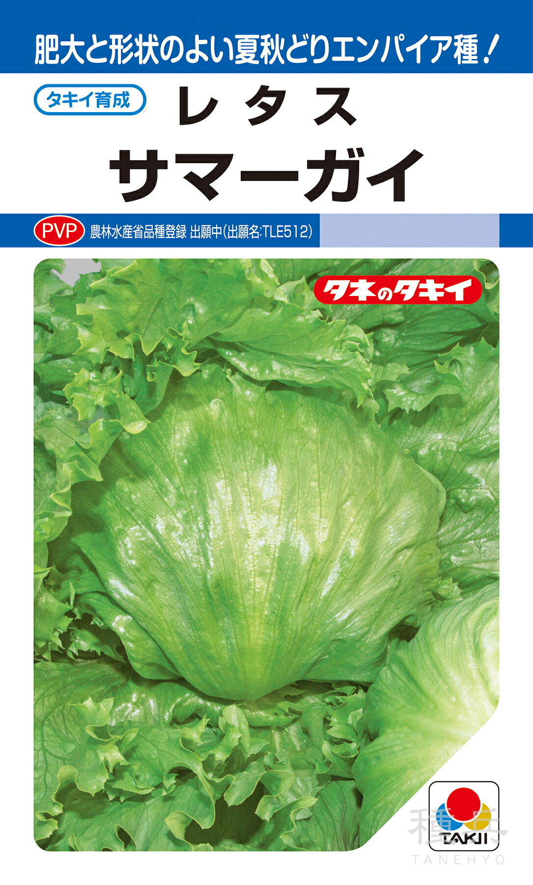 夏秋どり頭状花序萵苣 種 『サマーガイ』 ALE162 タキイ種苗