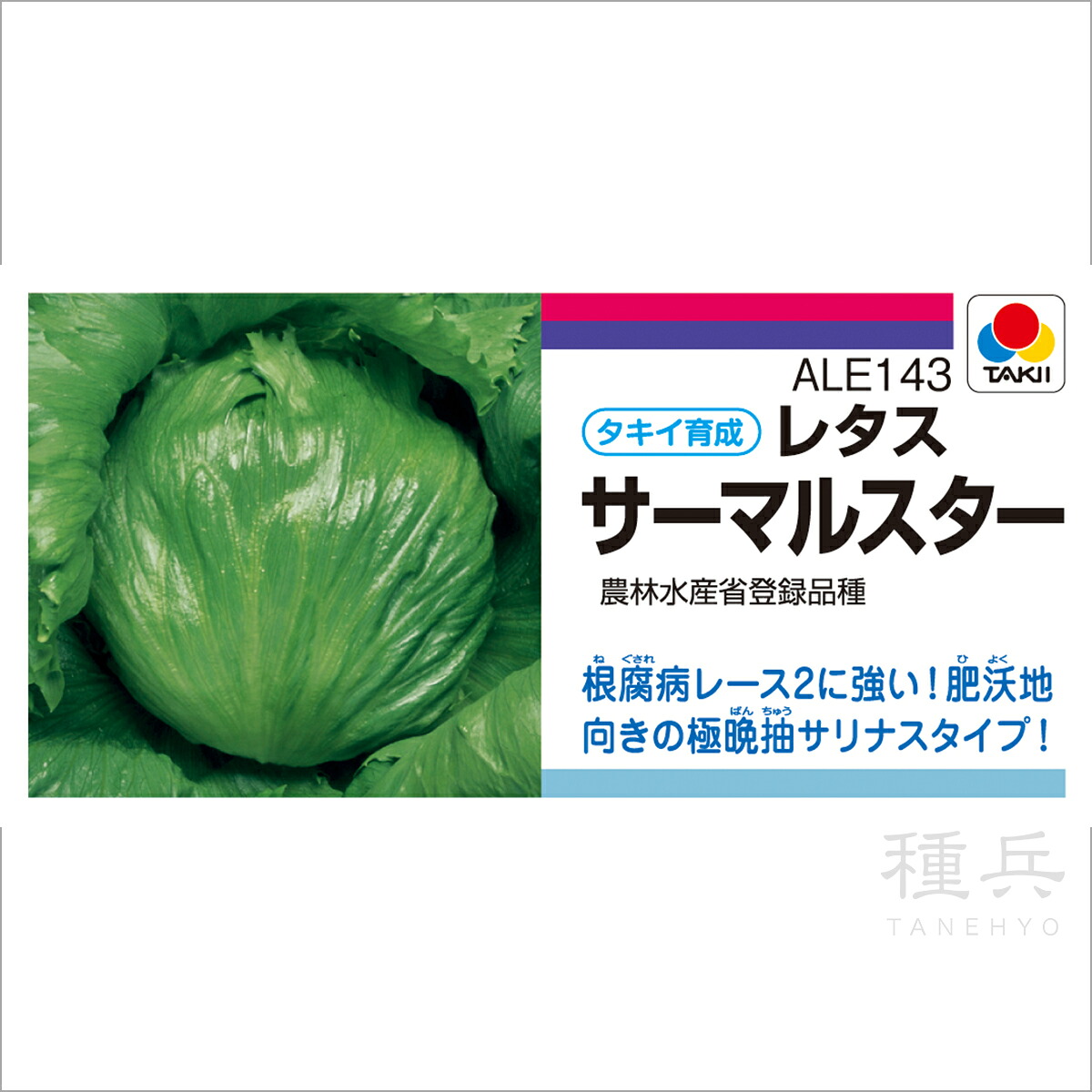 夏秋どり頭状花序萵苣 種 『サーマルスター』 ALE143 タキイ種苗