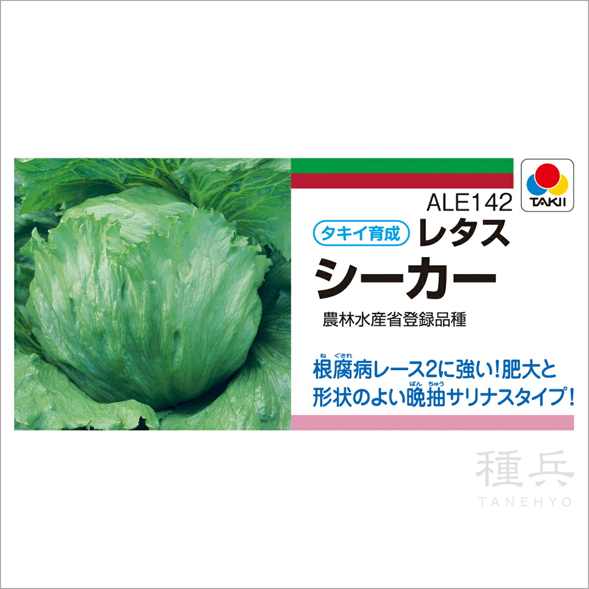 夏秋どり頭状花序萵苣 種 『シーカー』 ALE142 タキイ種苗