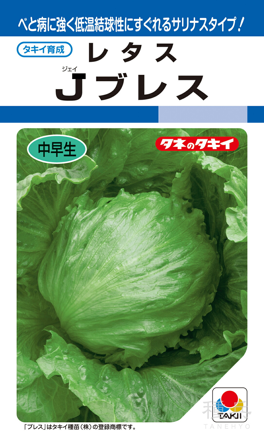 れたす出品 耐病気大玉レタスフリフリッカー | 花＆グリーン 通販