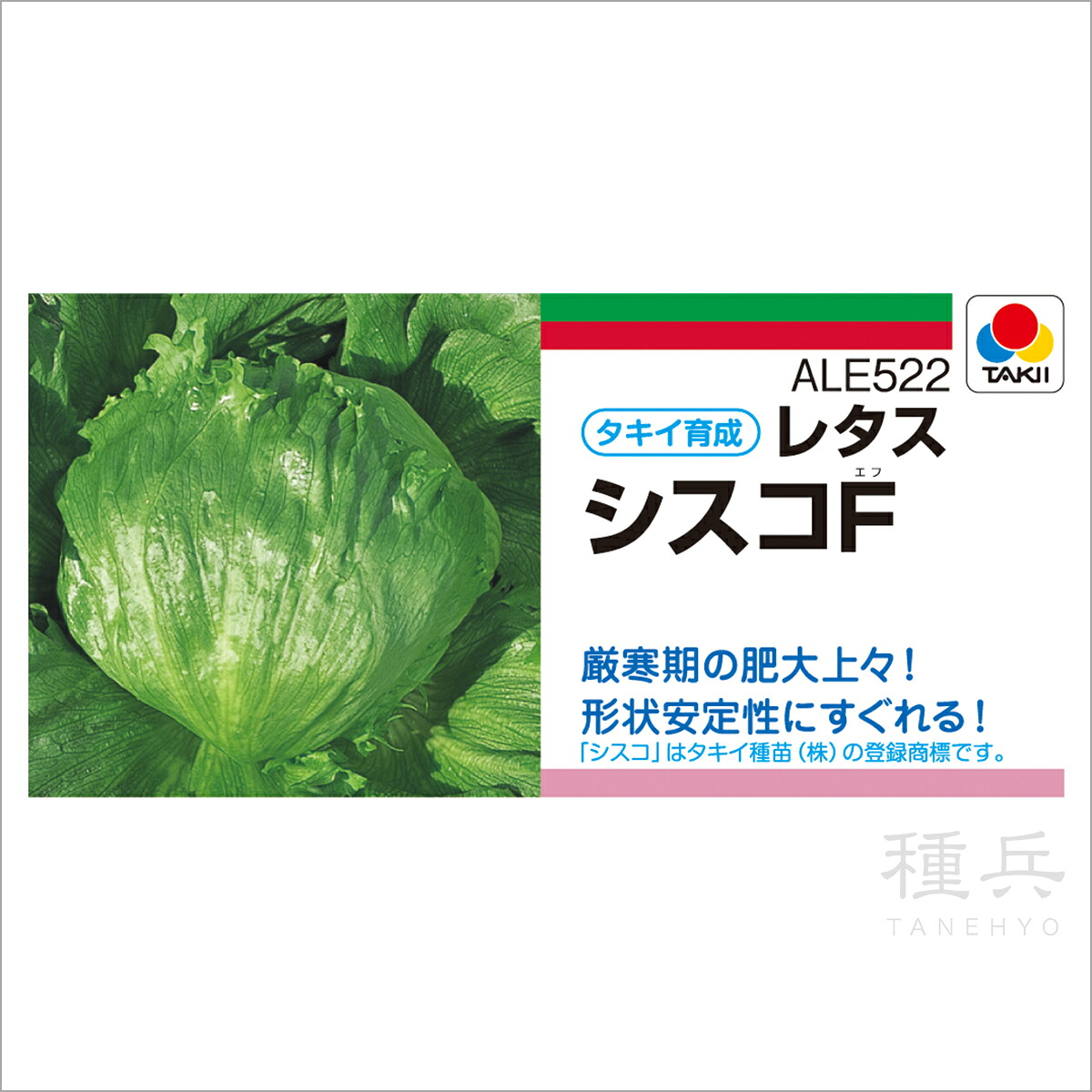 結球レタス 種 『シスコF』 ALE522 タキイ種苗
