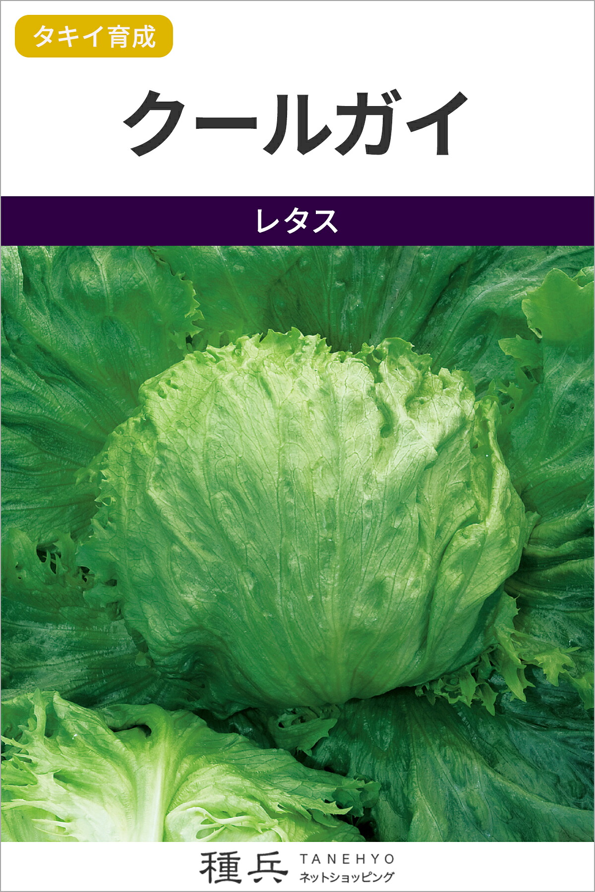 春どり結球レタス 種 『クールガイ』 ALE149 タキイ種苗