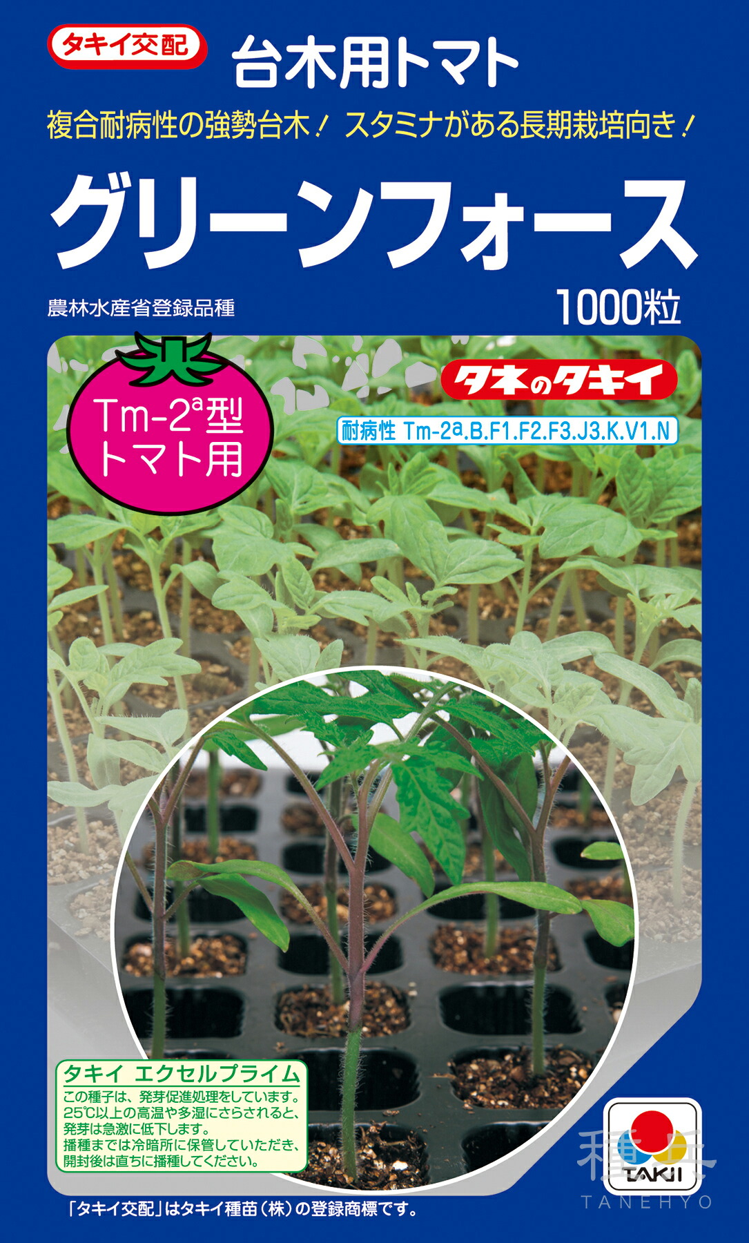 赤茄子台木 種 『グリーンフォース』 非同期転送モード06X タキイ種苗