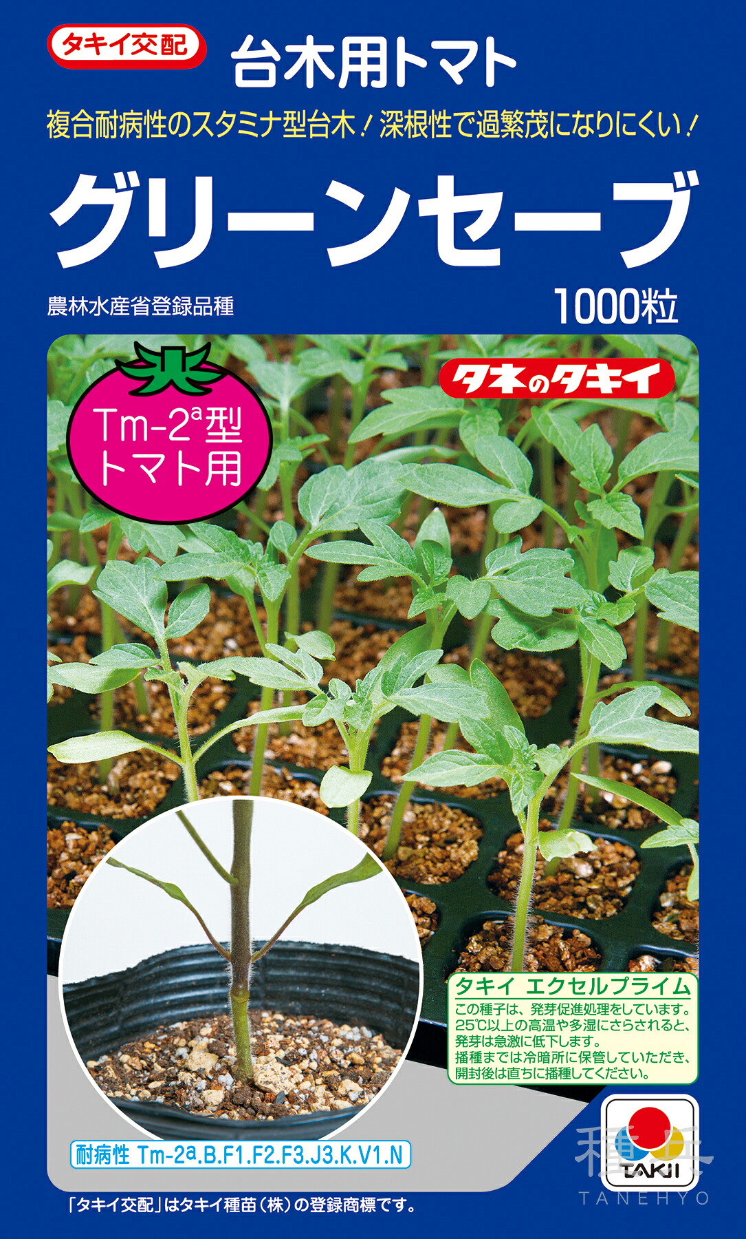 赤茄子台木 種 『緑であること抑えつける』 非同期転送モード01Y タキイ種苗
