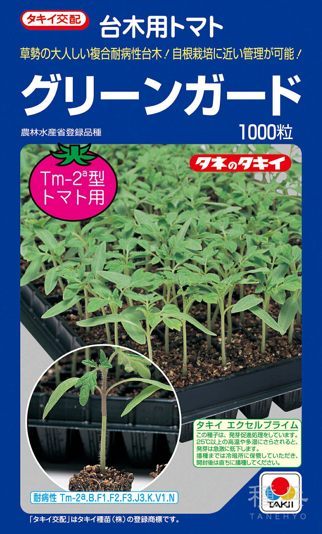 赤茄子台木 種 『緑であること差し固める』 非同期転送モード059 タキイ種苗