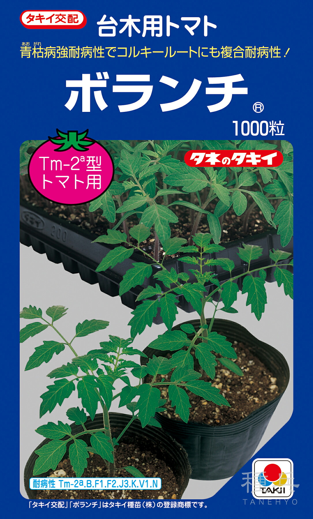 赤茄子台木 種 『ボランチ』 非同期転送モード094 タキイ種苗