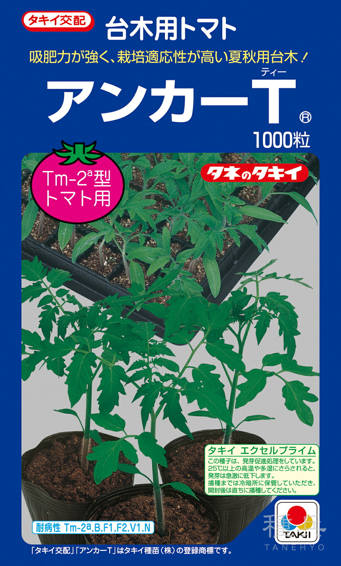 赤茄子台木 種 『船がかりT』 非同期転送モード052 タキイ種苗
