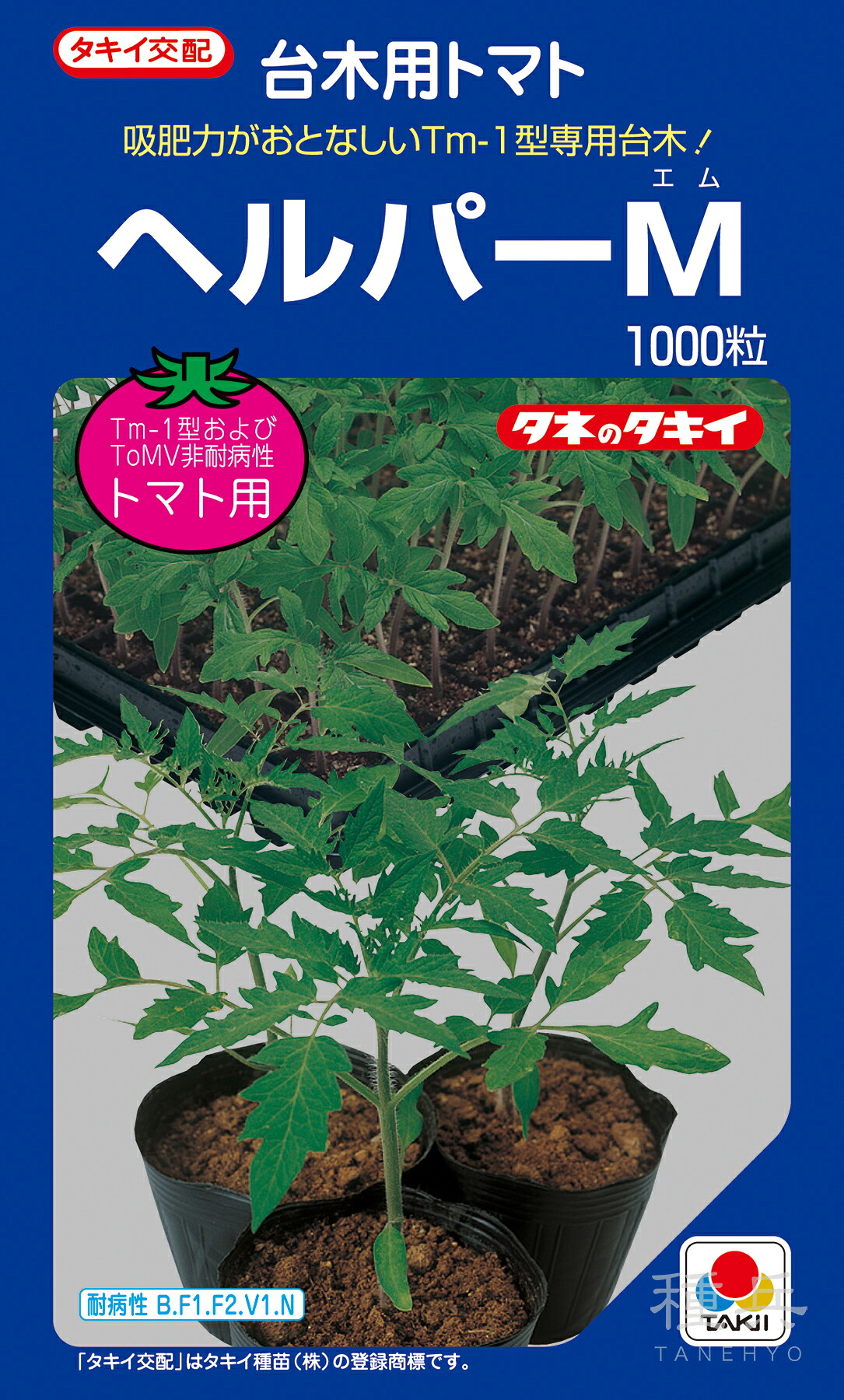 赤茄子台木 種 『手つだいM』 非同期転送モード051 タキイ種苗