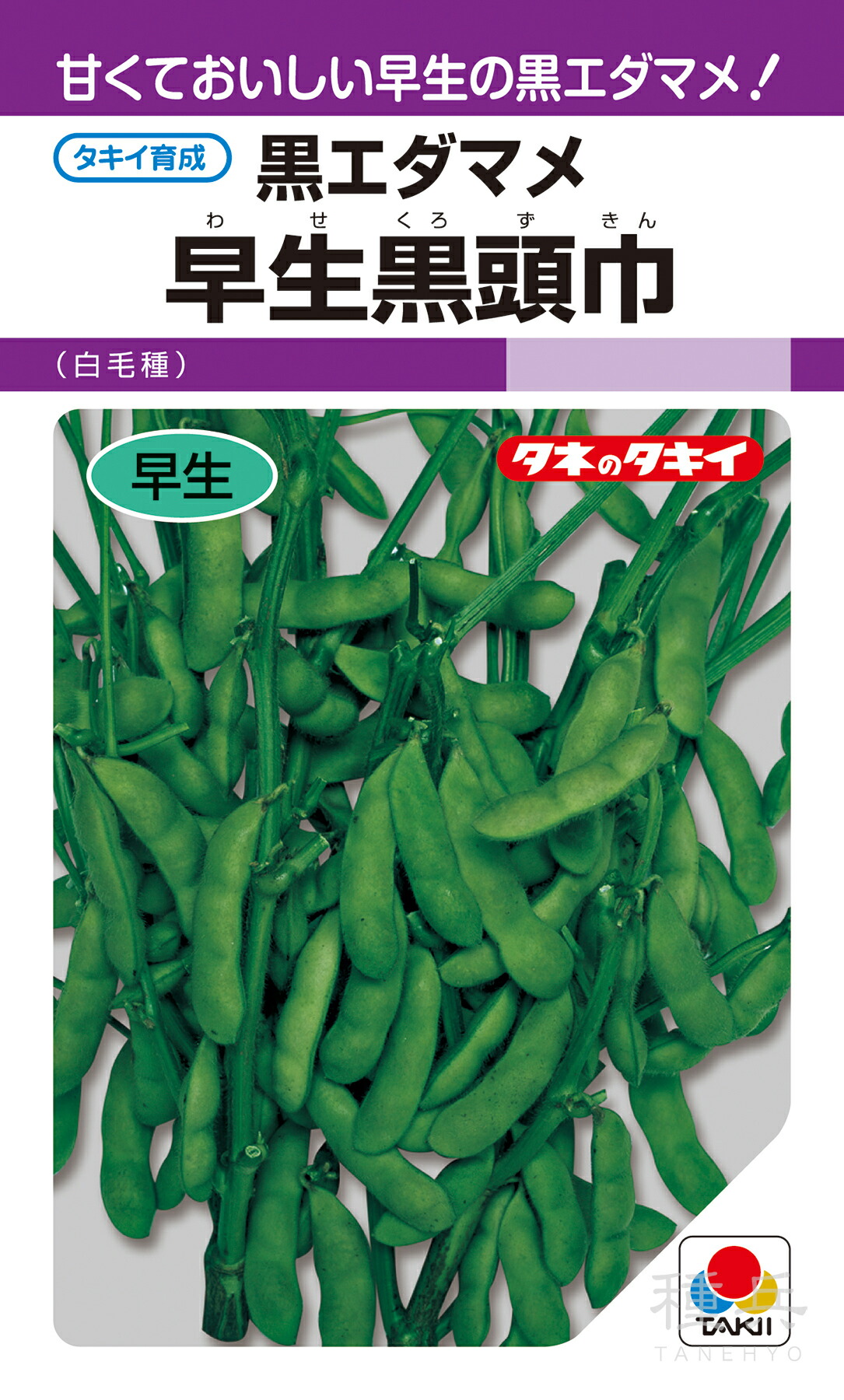 黒エダマメ 種 『早生黒頭巾』 AED132 タキイ種苗