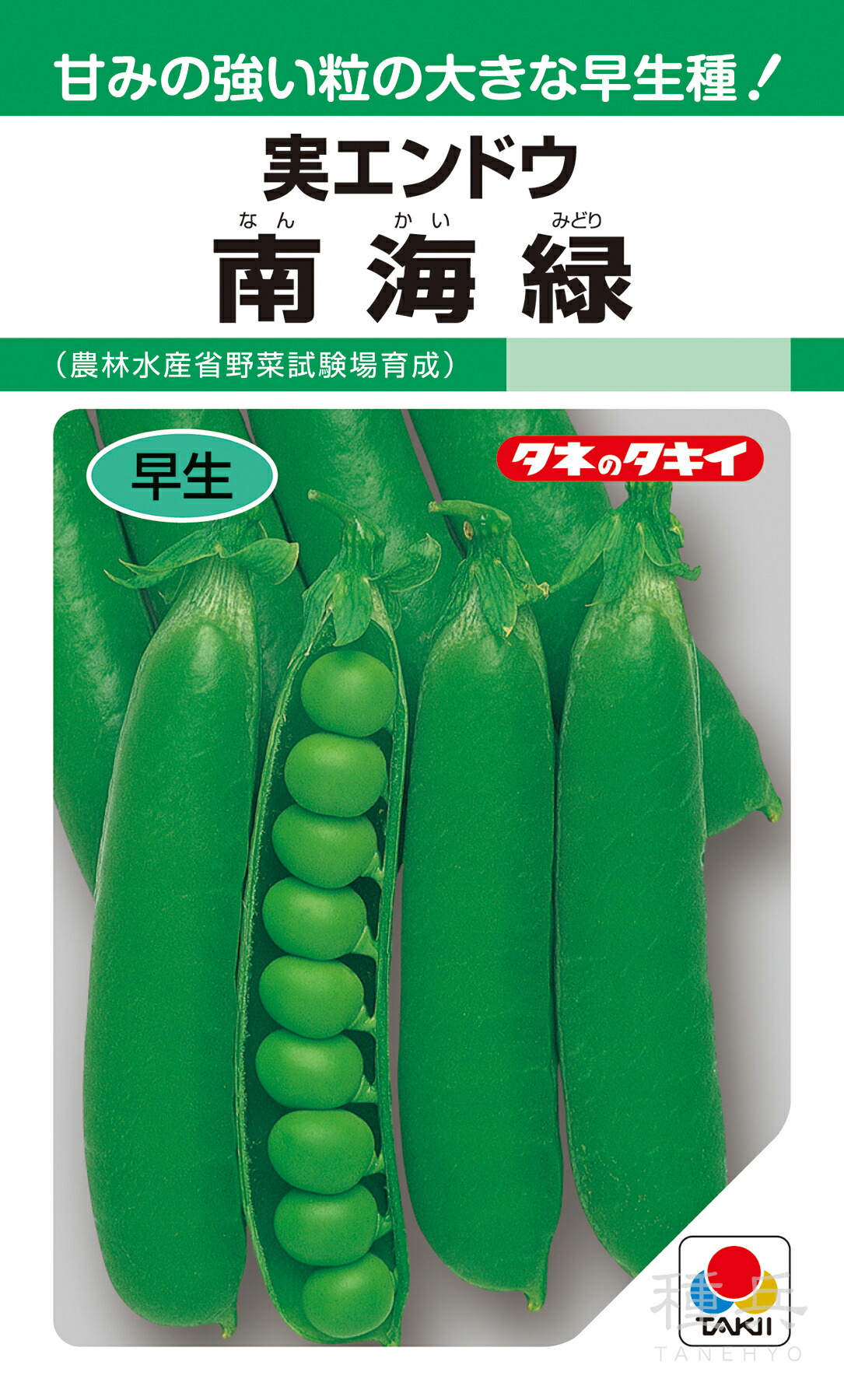 実エンドウ 種 『南太平洋緑』 AEN130 タキイ種苗
