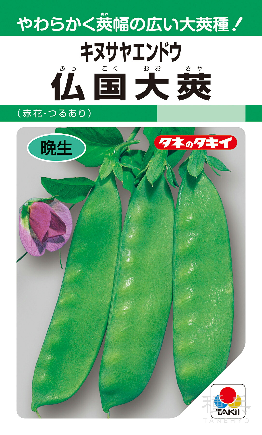 キヌサヤエンドウ 種 『仏国大莢』 AEN101 タキイ種苗 6,688円