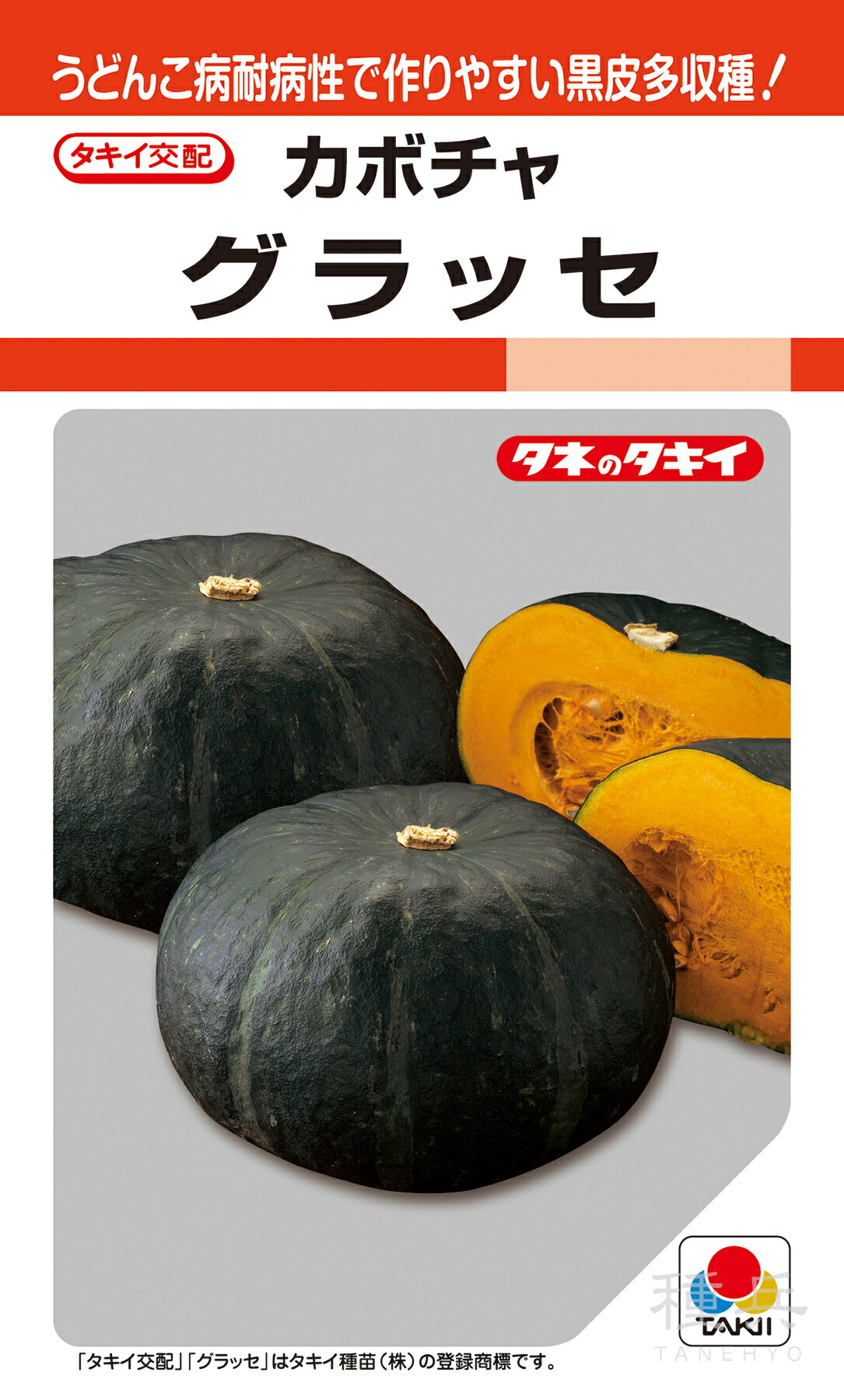 中間質カボチャ 種 『グラッセ』 ANK085 タキイ種苗