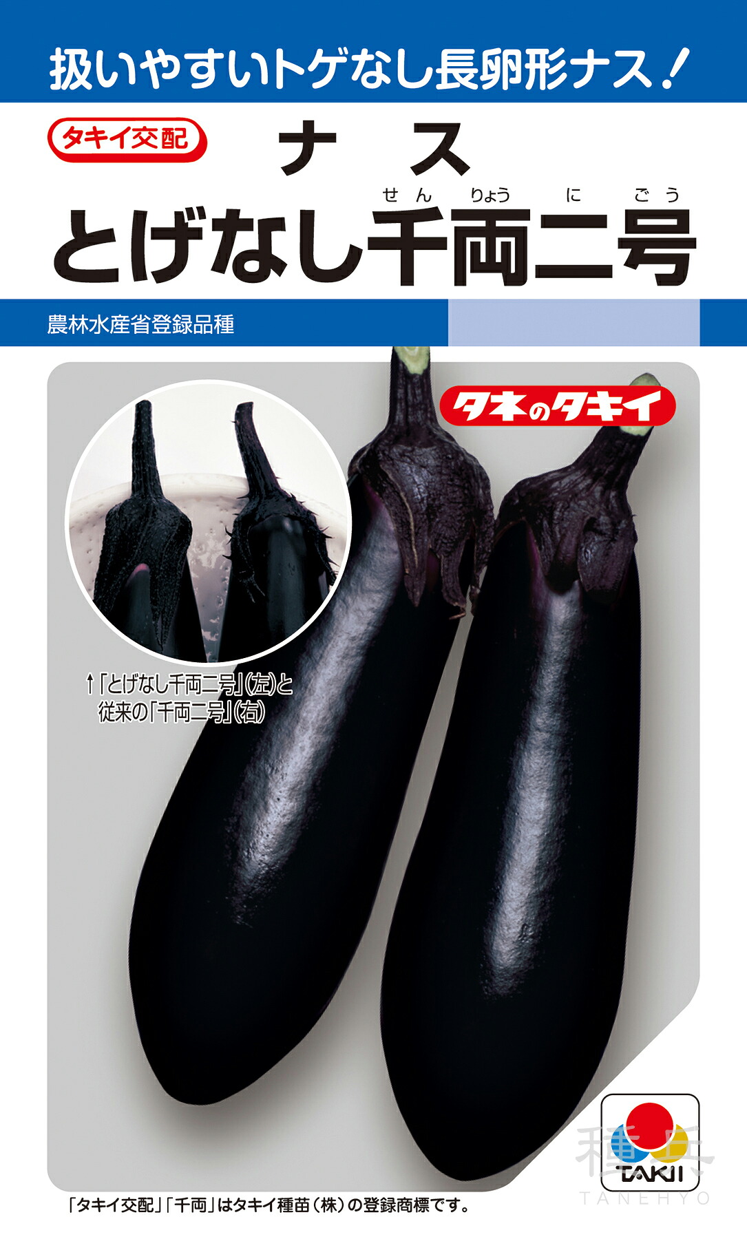 長卵型茄子 種 『分岐線なし千両二号』 ANA065 タキイ種苗