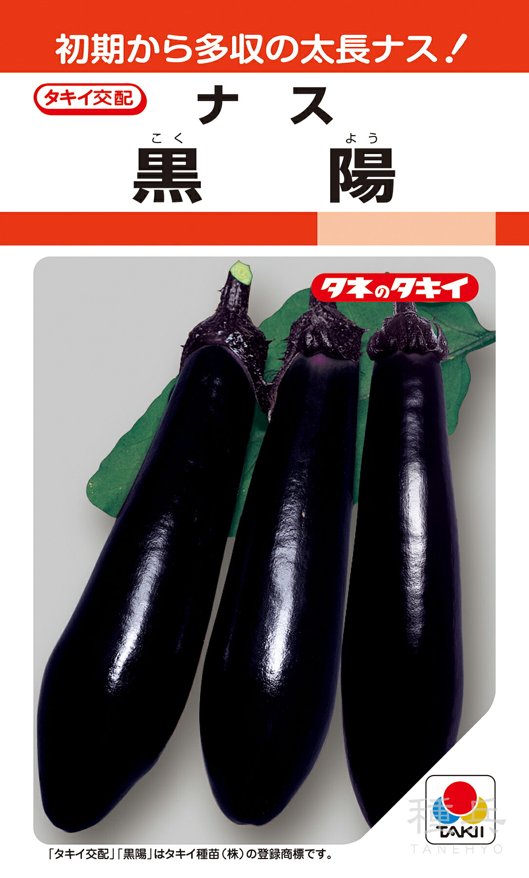 長茄子 種 『黒陽』 ANA022 タキイ種苗
