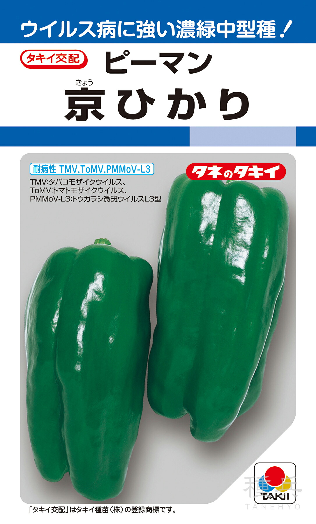 ピーマン（中型） 種 『京ひかり』 APE019 タキイ種苗｜種兵ネットショッピング