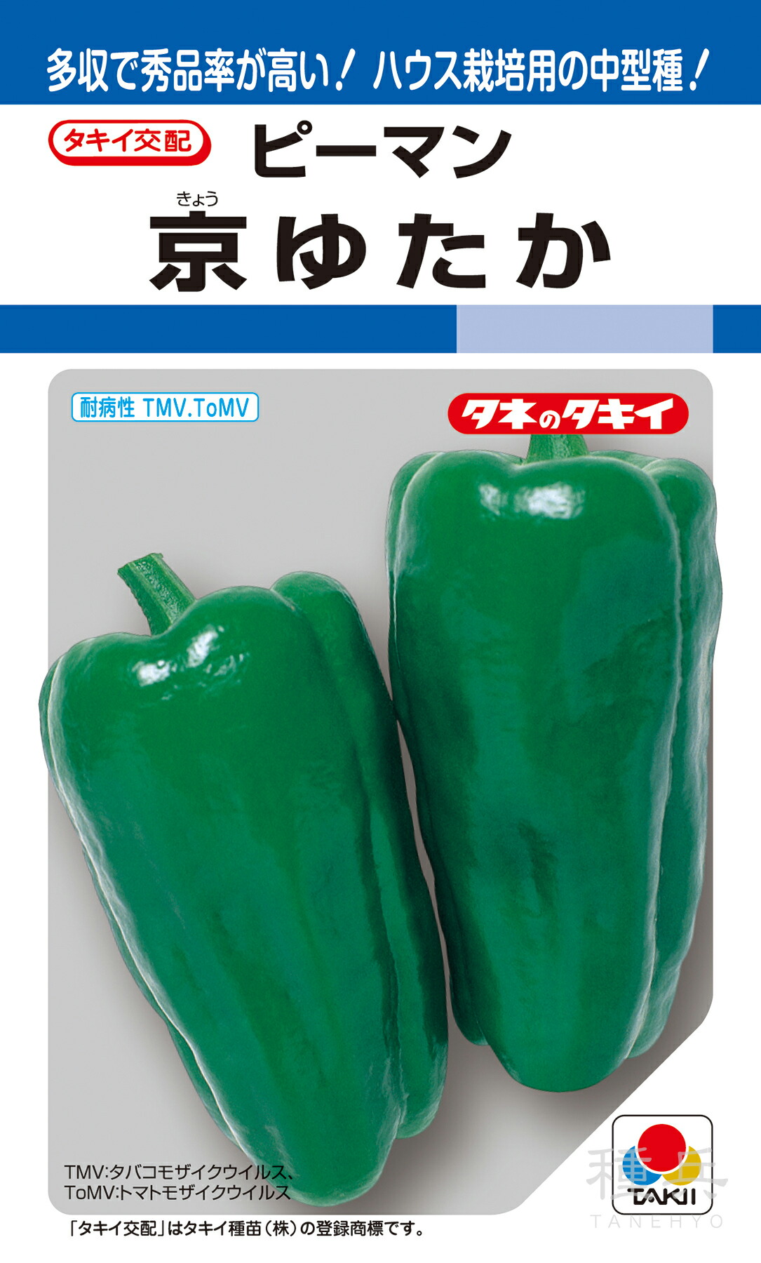 トウガラシ（中型） 種 『京ゆたか』 APE014 タキイ種苗