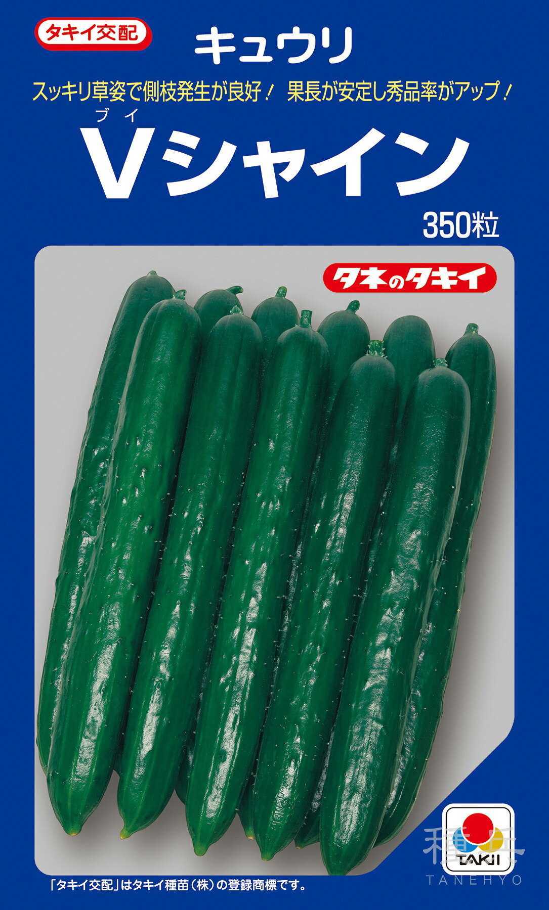 濾過性病原体耐病夏秋胡瓜 種 『Vシャイン』 ACU02G タキイ種苗