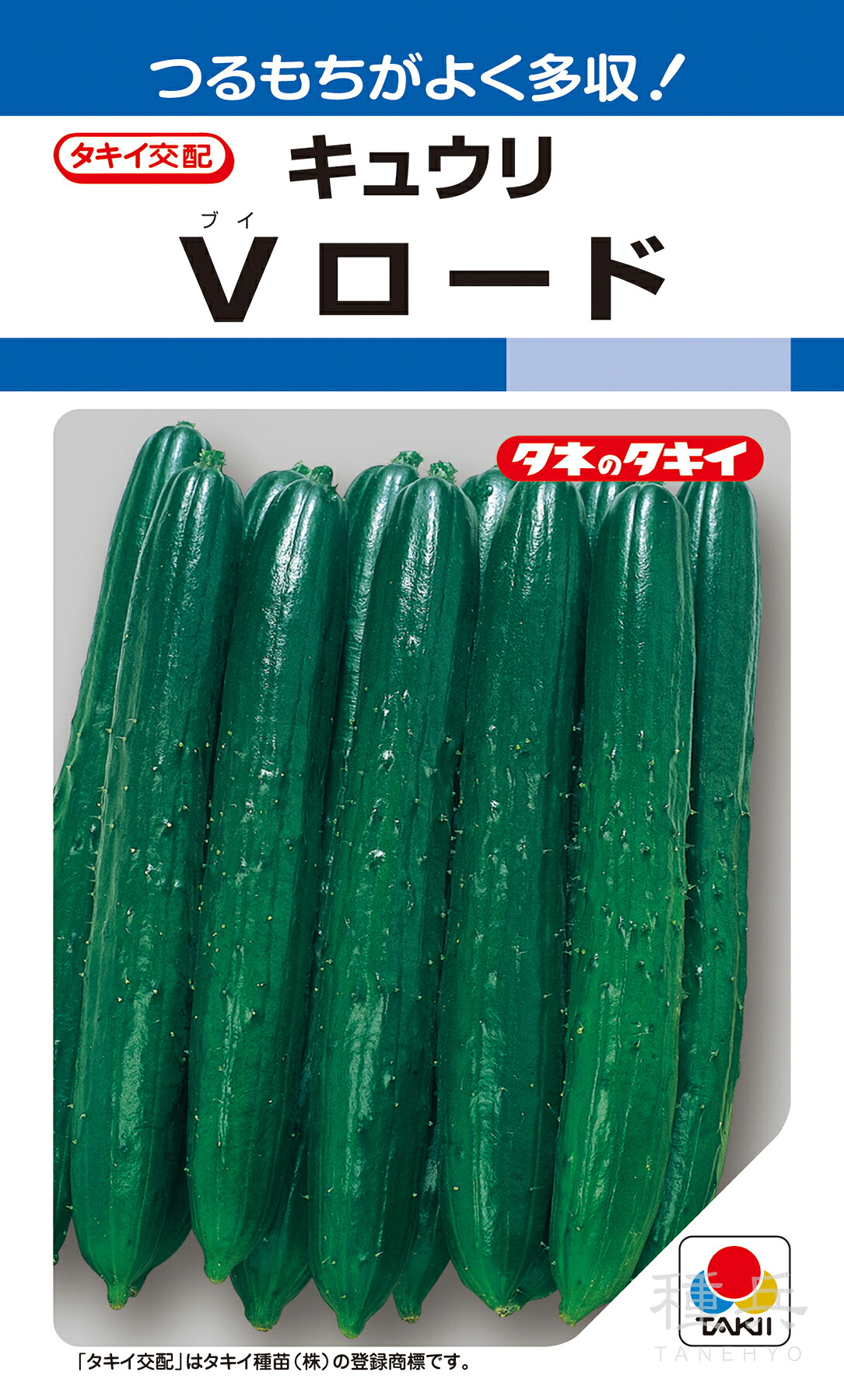 濾過性病原体耐病夏秋胡瓜 種 『V読み込む』 ACU049 タキイ種苗