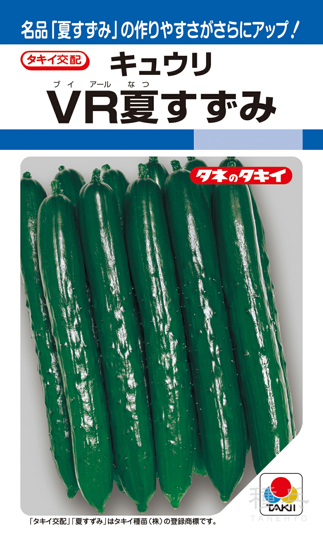 楽天市場】【人気品種】野菜種子 キュウリ「VR夏すずみ」13粒