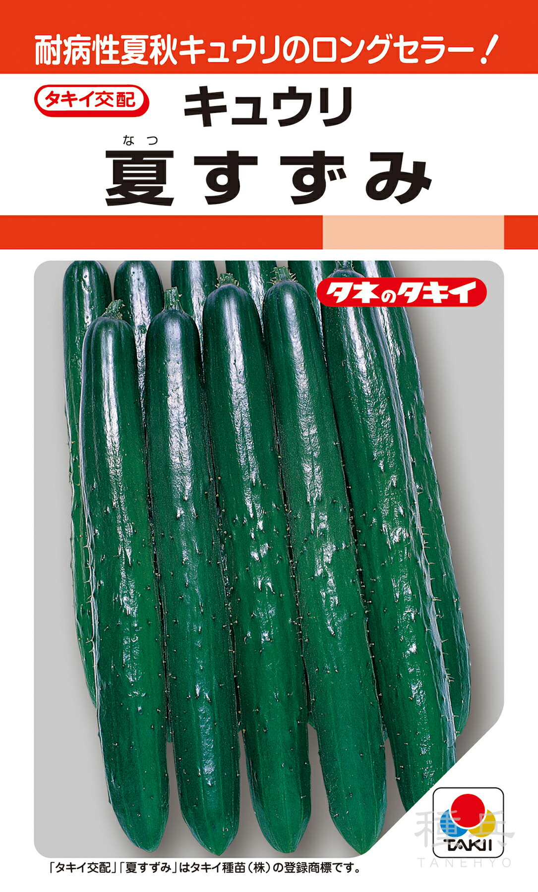 森のきゅうりさま依頼資料 八町きゅうり ＜おいしい信州ふーど図鑑 ＞ ｜ おいしい信州ふー