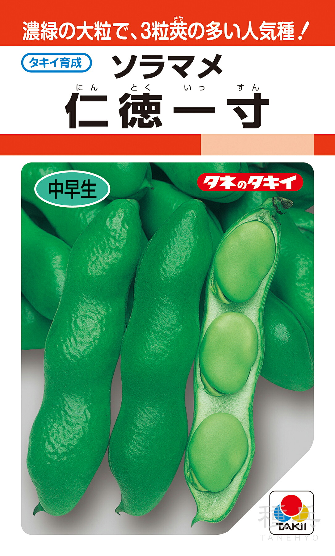 一寸ソラマメ 種 『仁徳一寸』 ASM127 タキイ種苗