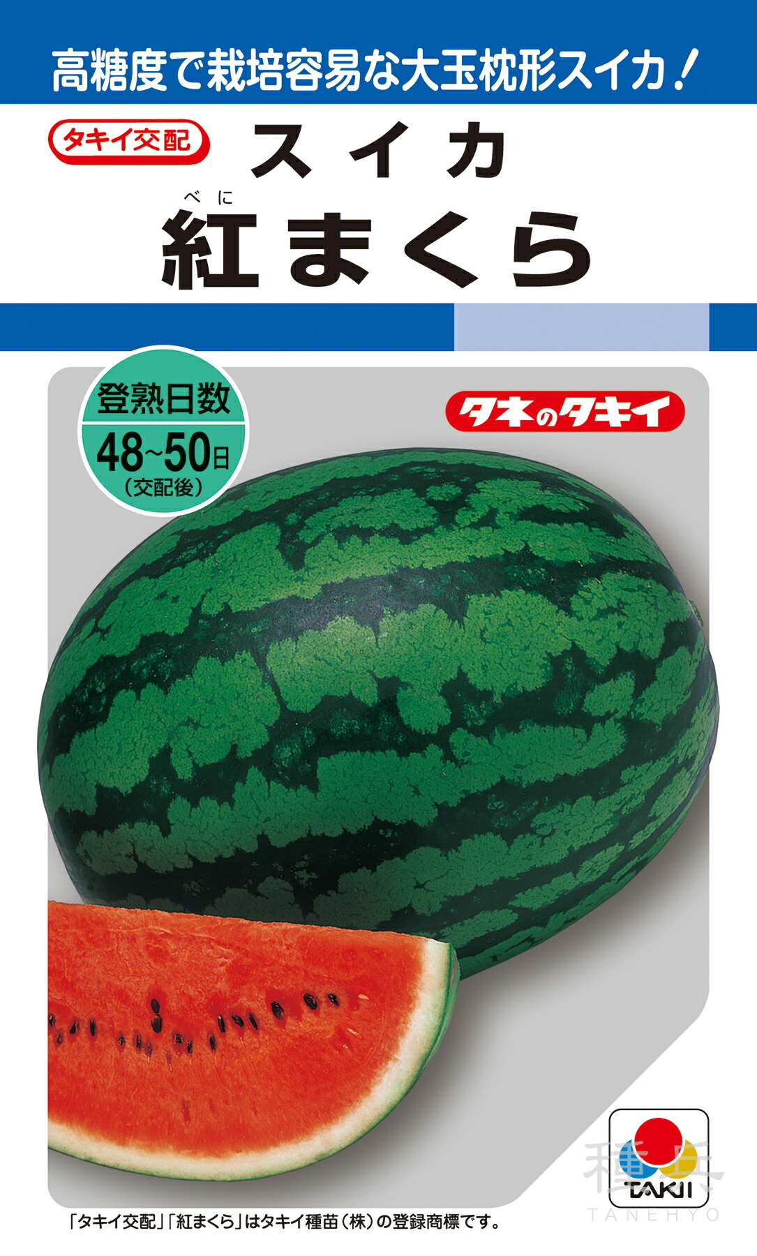 楽天市場】マイクロシード 紅小玉スイカ 種 『ピノ・ガール』 ナント