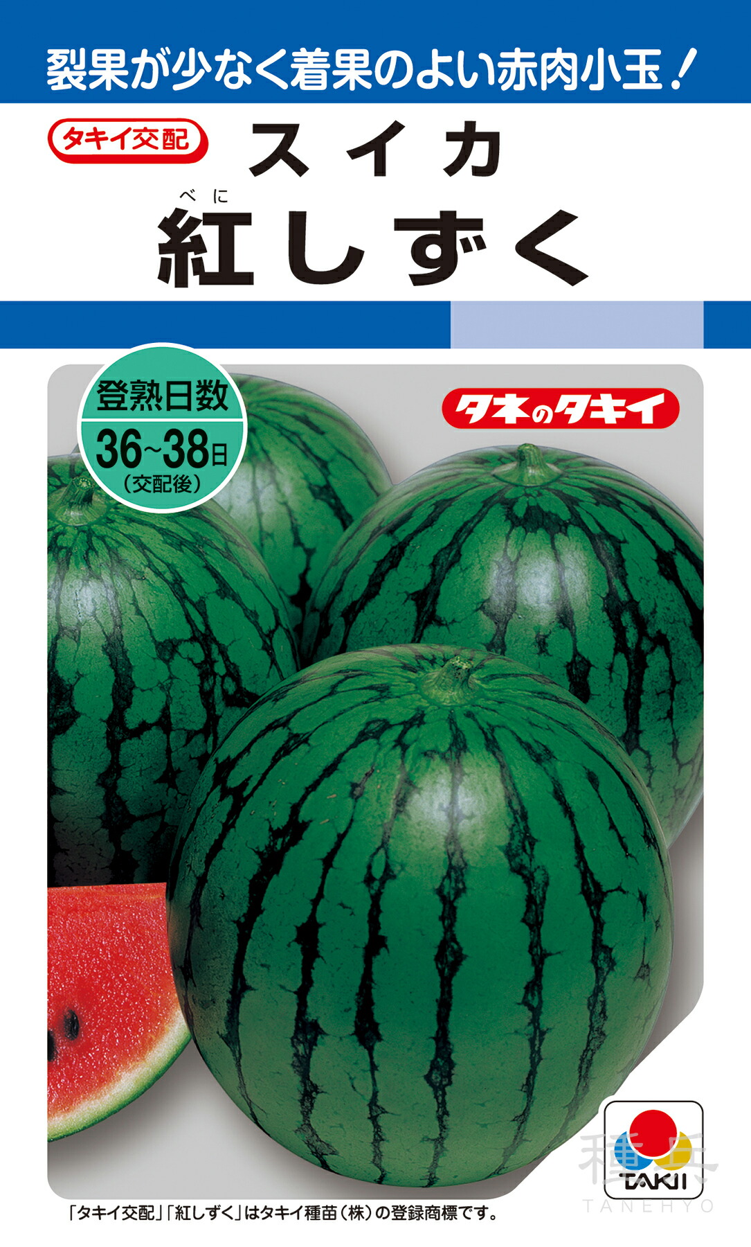 小玉赤肉種スイカ 種 『紅しずく』 ASU005 タキイ種苗