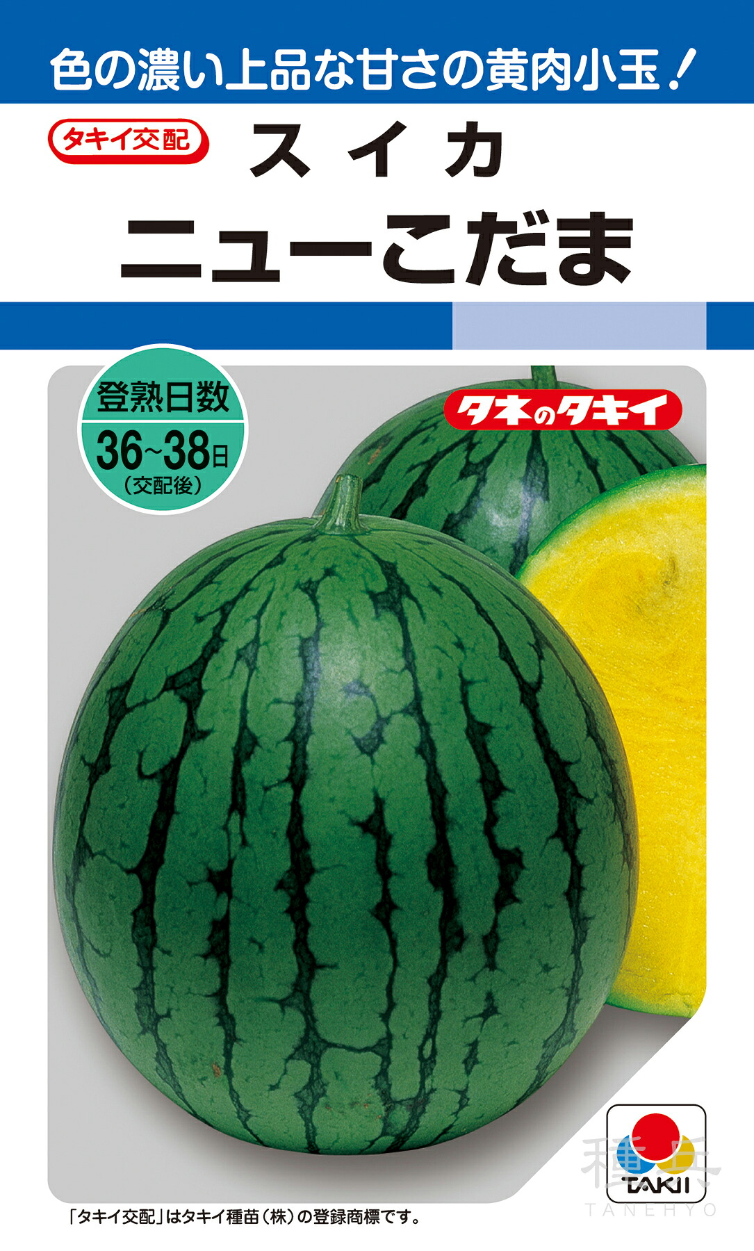 小玉黄肉種スイカ 種 『ニューこだま』 ASU002 タキイ種苗