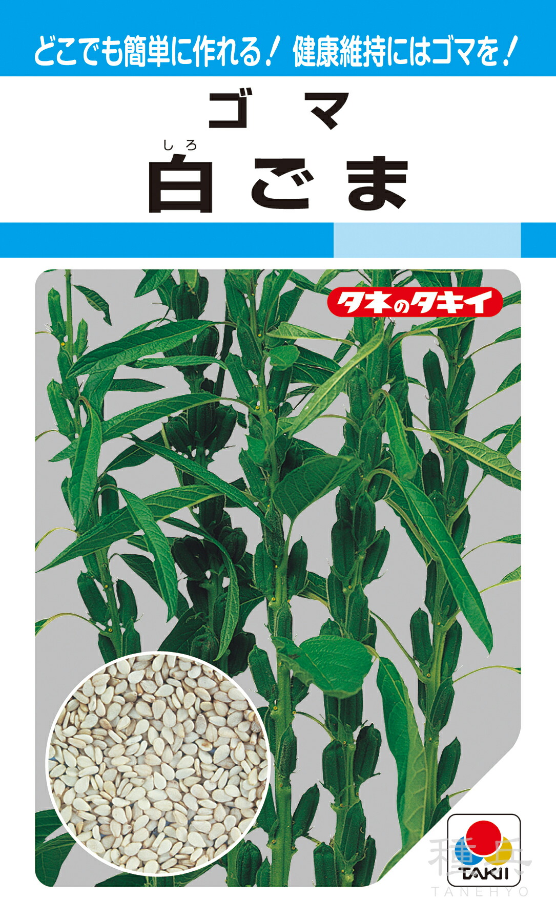 楽天市場】タキイ種苗 ゴマ 胡麻 白ごま MF : 種苗・園芸ショップ 種もり