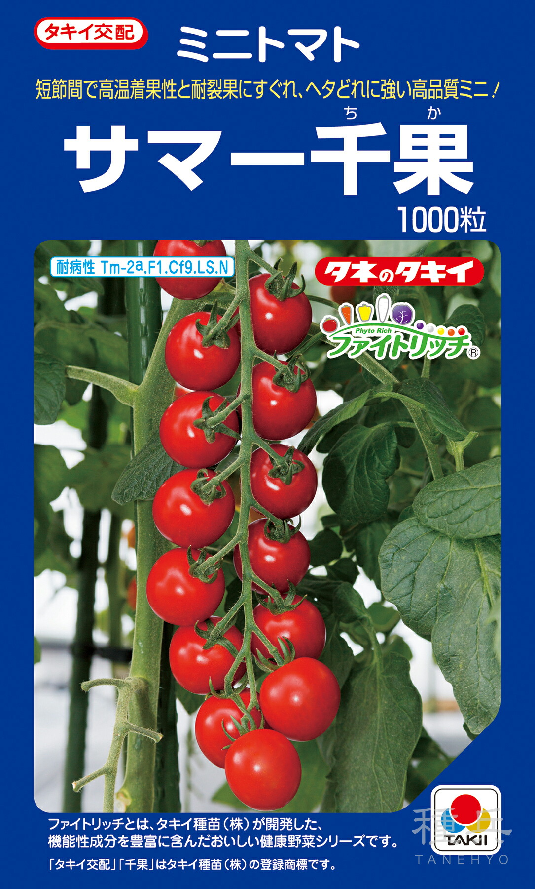★トマト祭★ セット内容 SWEET10トマト 3箱 - 「三光ファーム」群馬県高崎市