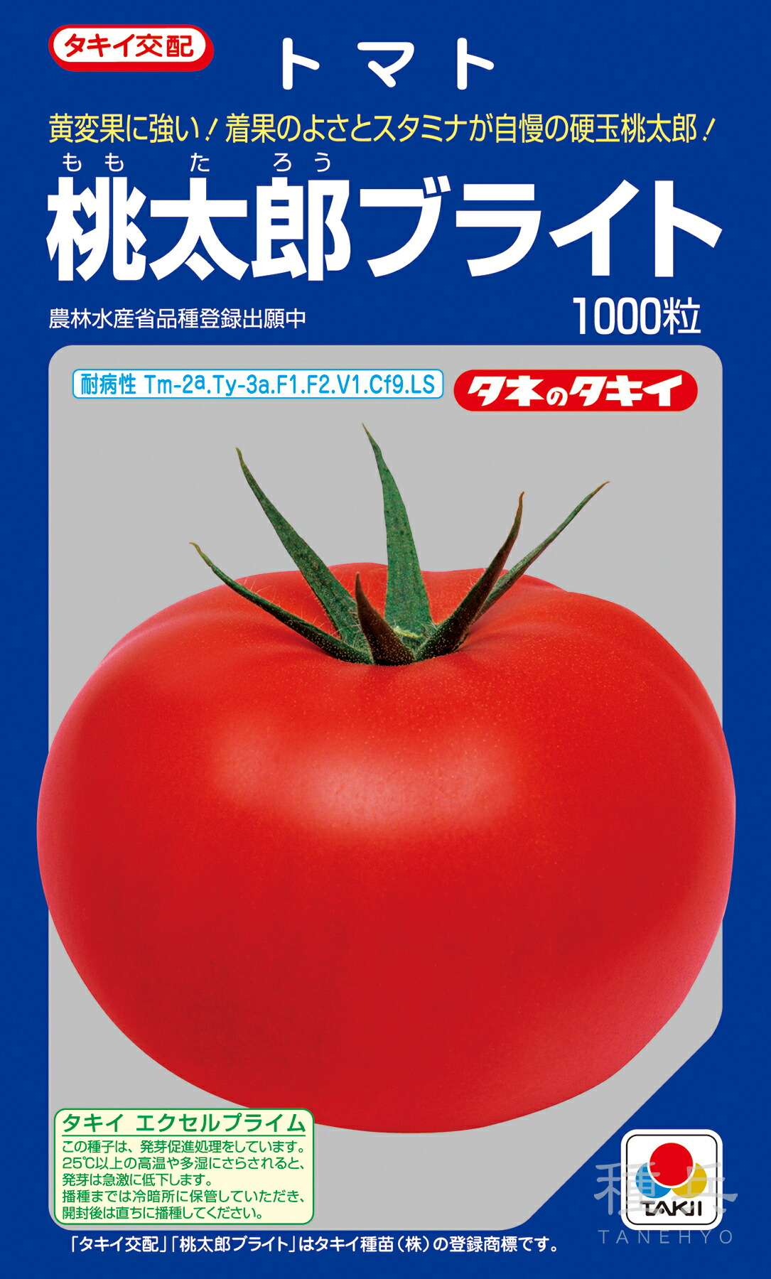 t-tki-mtm-079-a.jpg